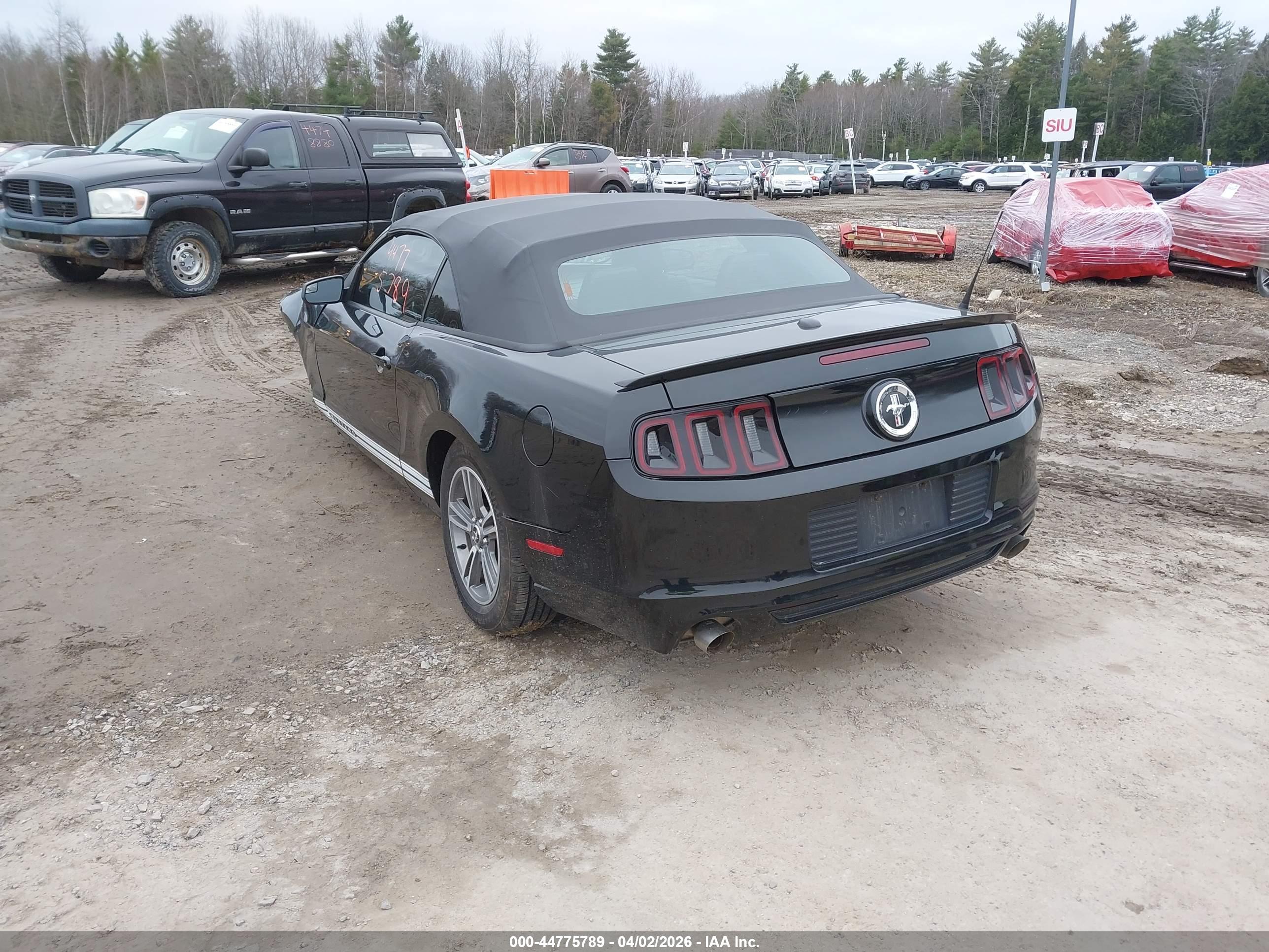 FORD MUSTANG image 3