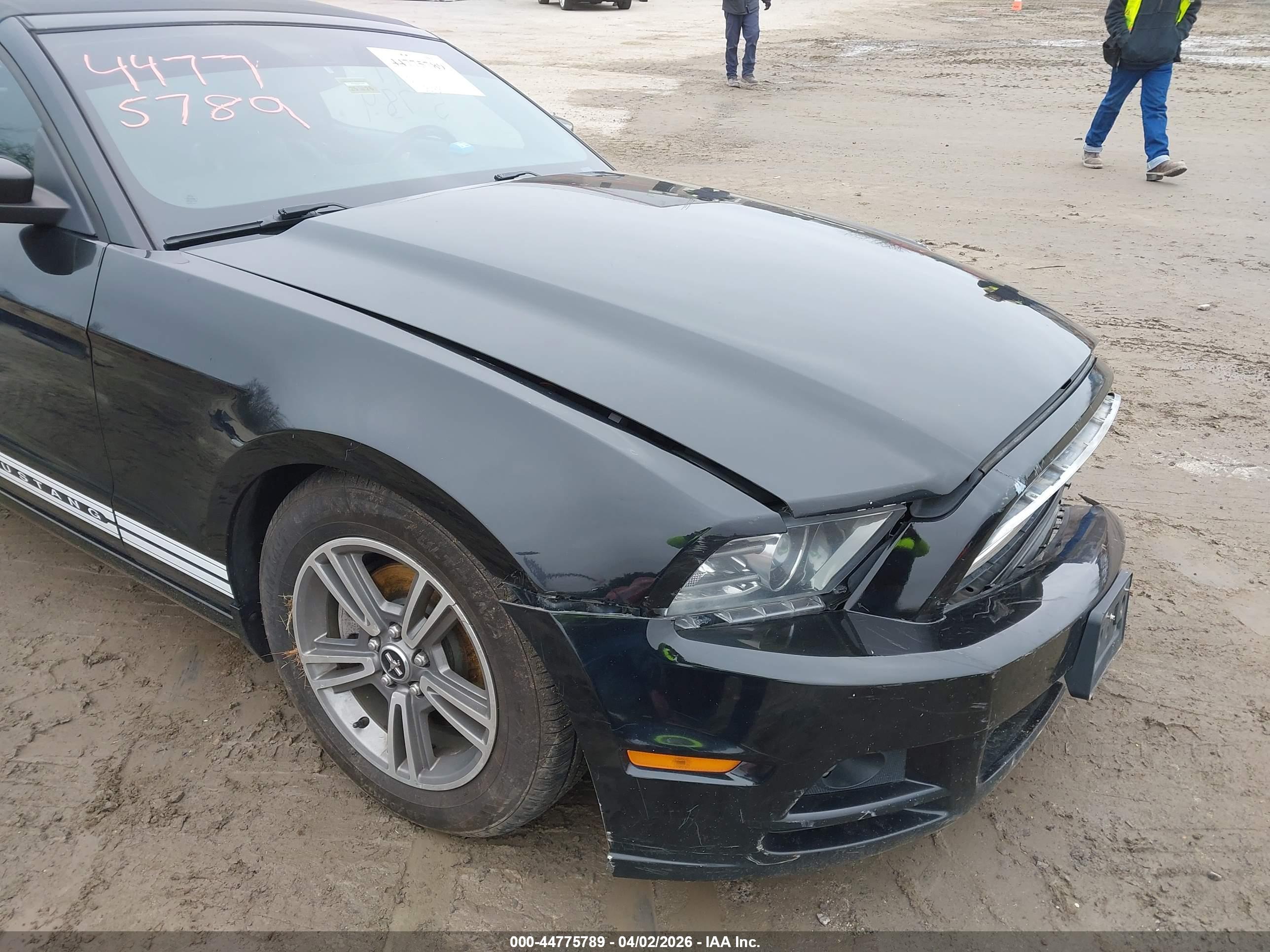 FORD MUSTANG image 6
