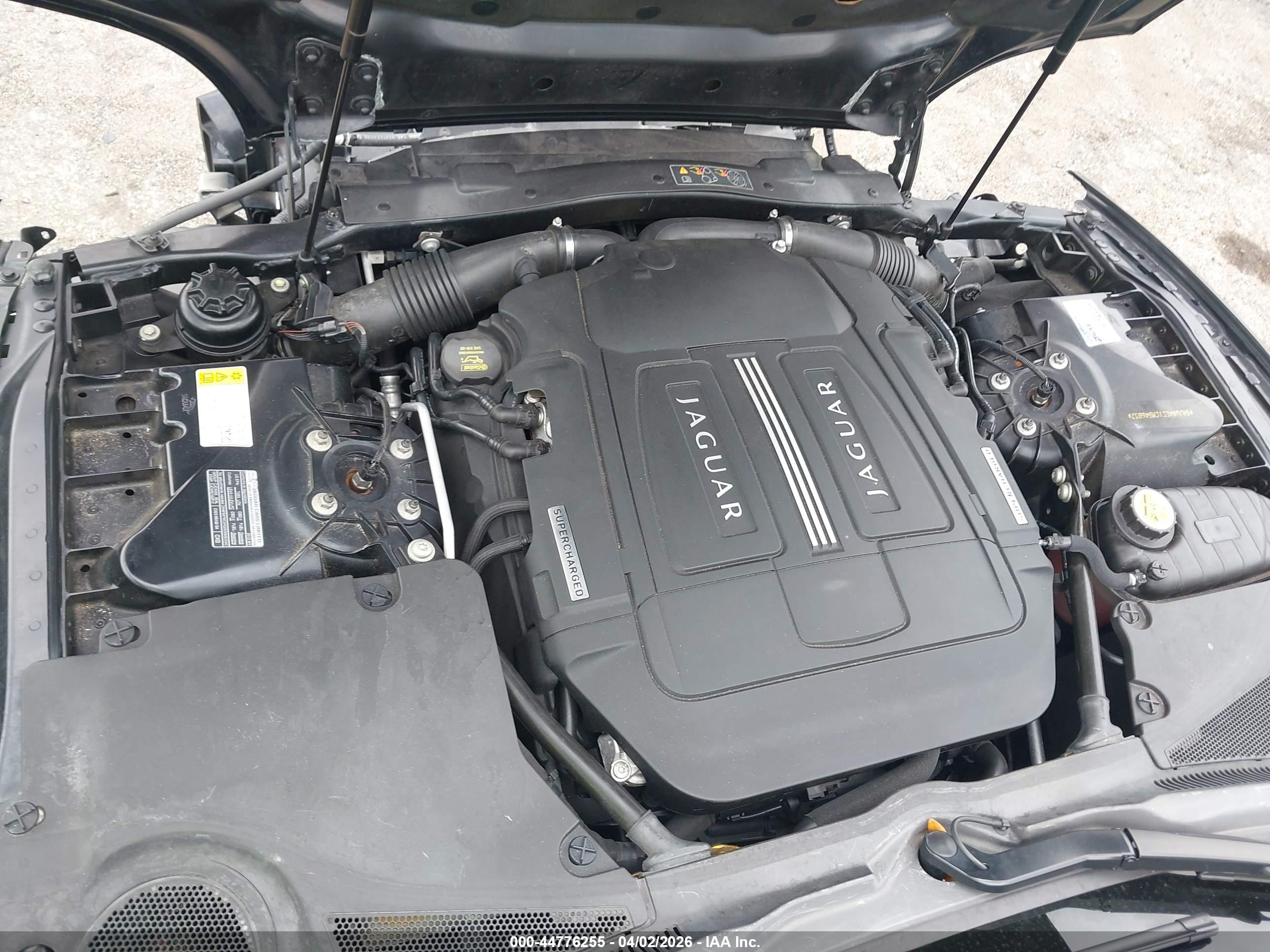 JAGUAR XK image 10