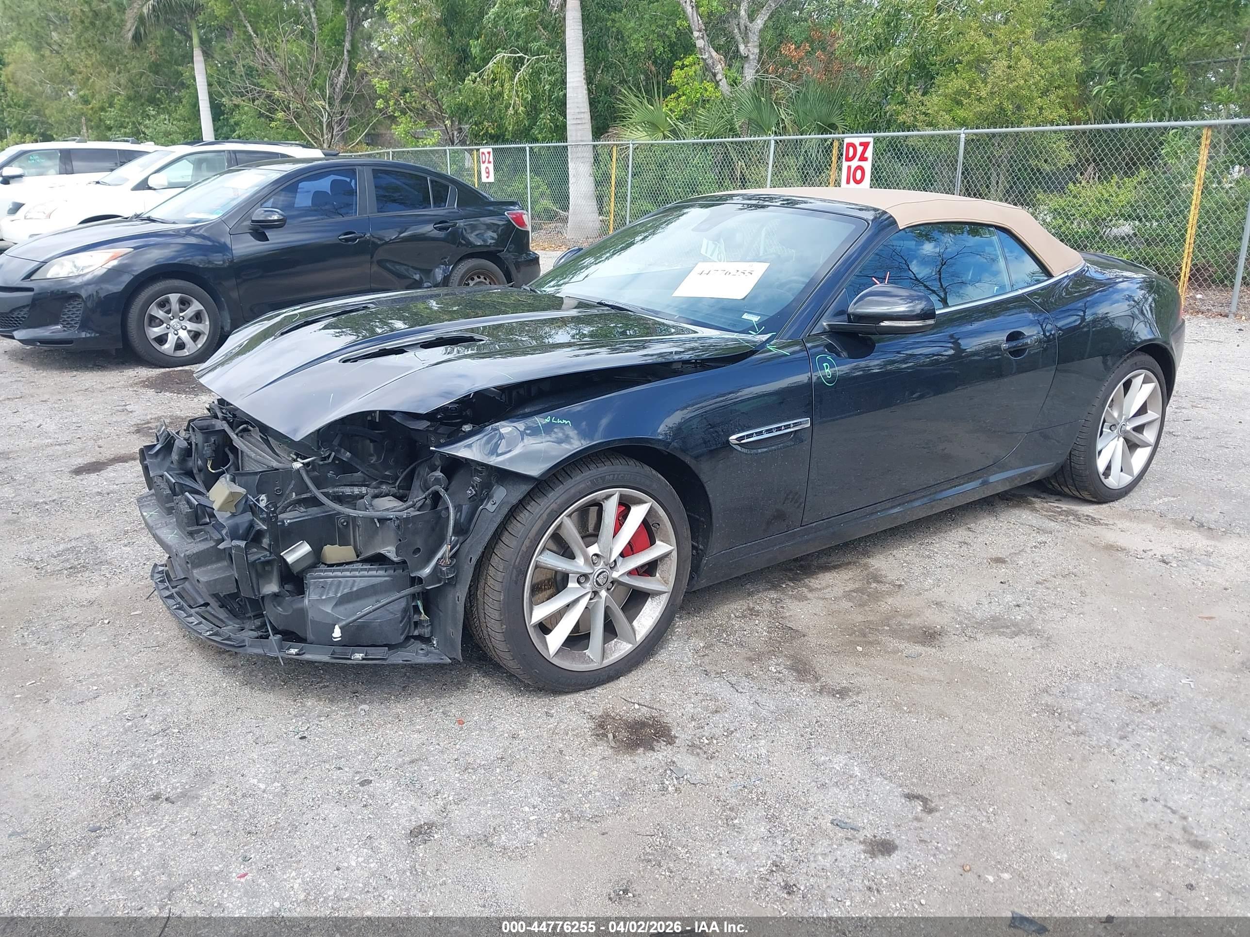 JAGUAR XK image 2