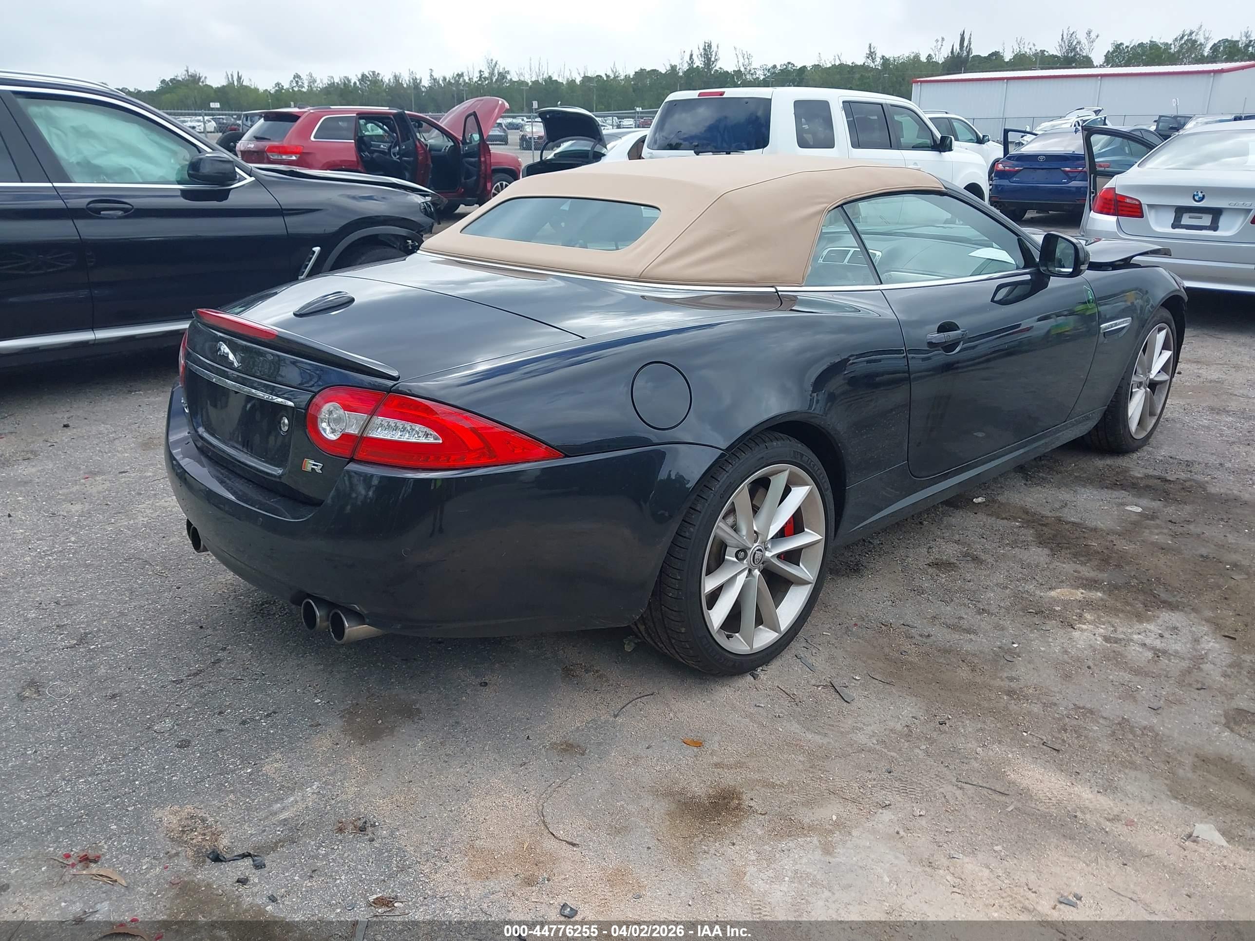 JAGUAR XK image 4
