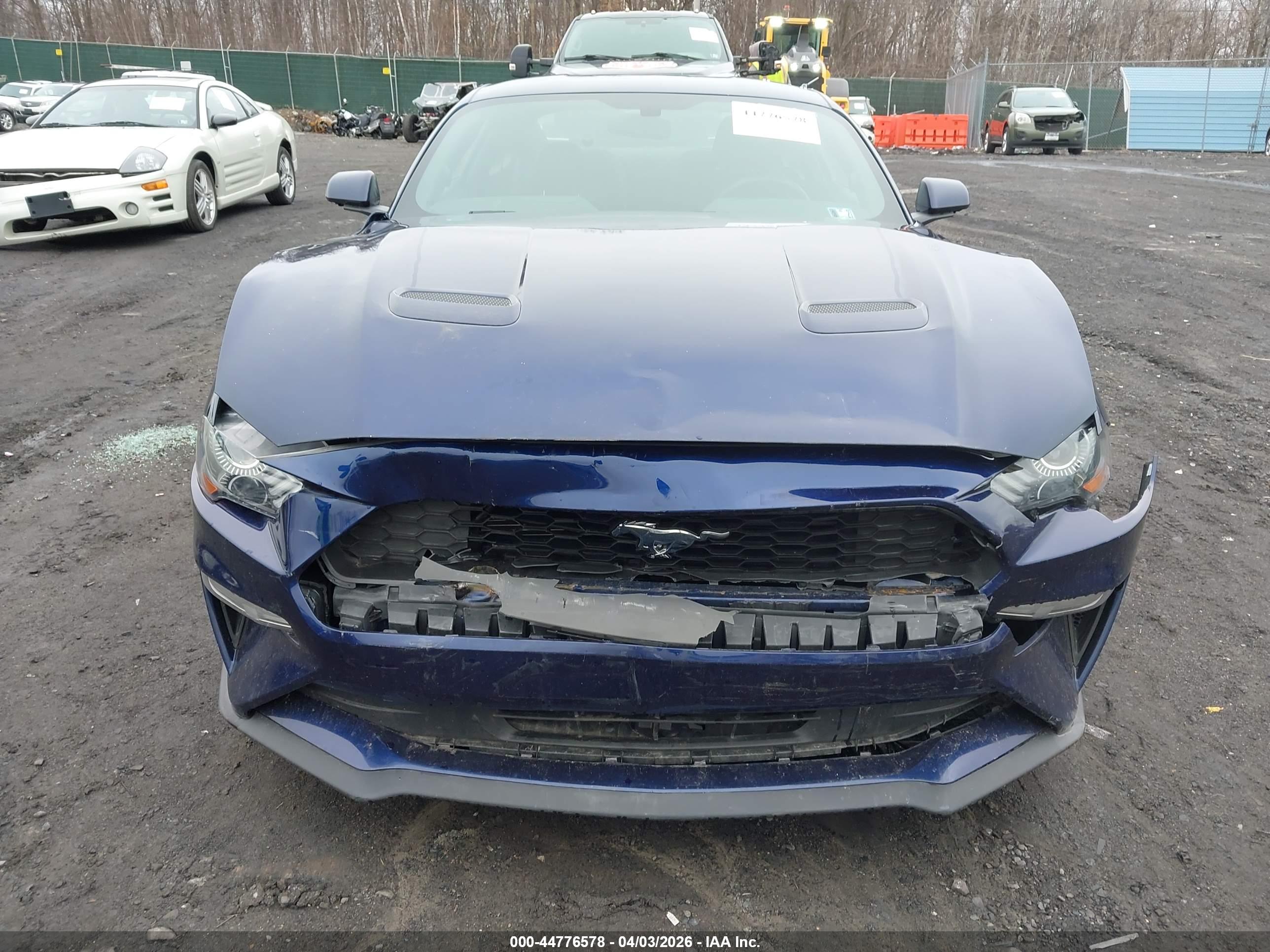 FORD MUSTANG image 6