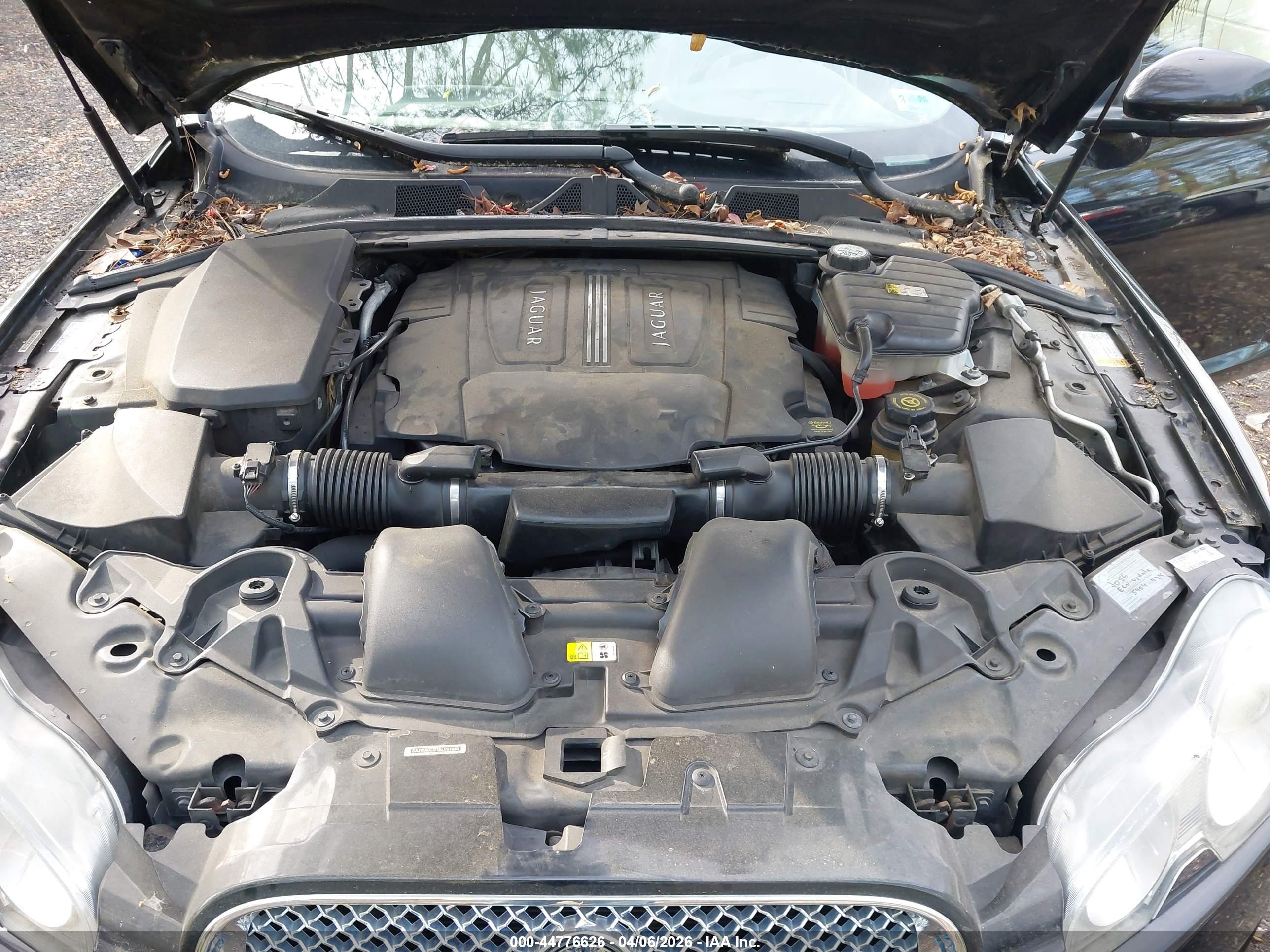 JAGUAR XF image 10