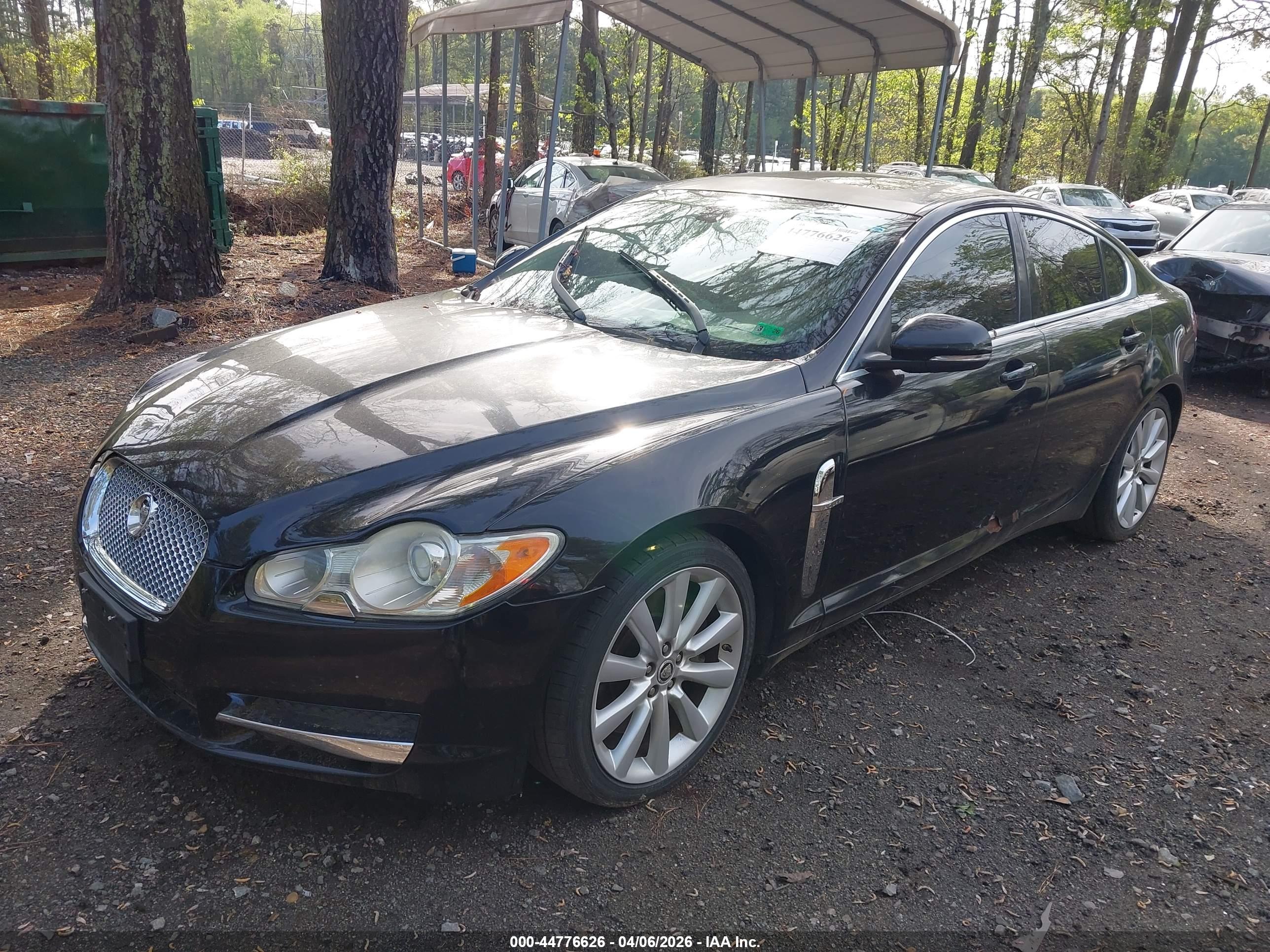 JAGUAR XF image 2
