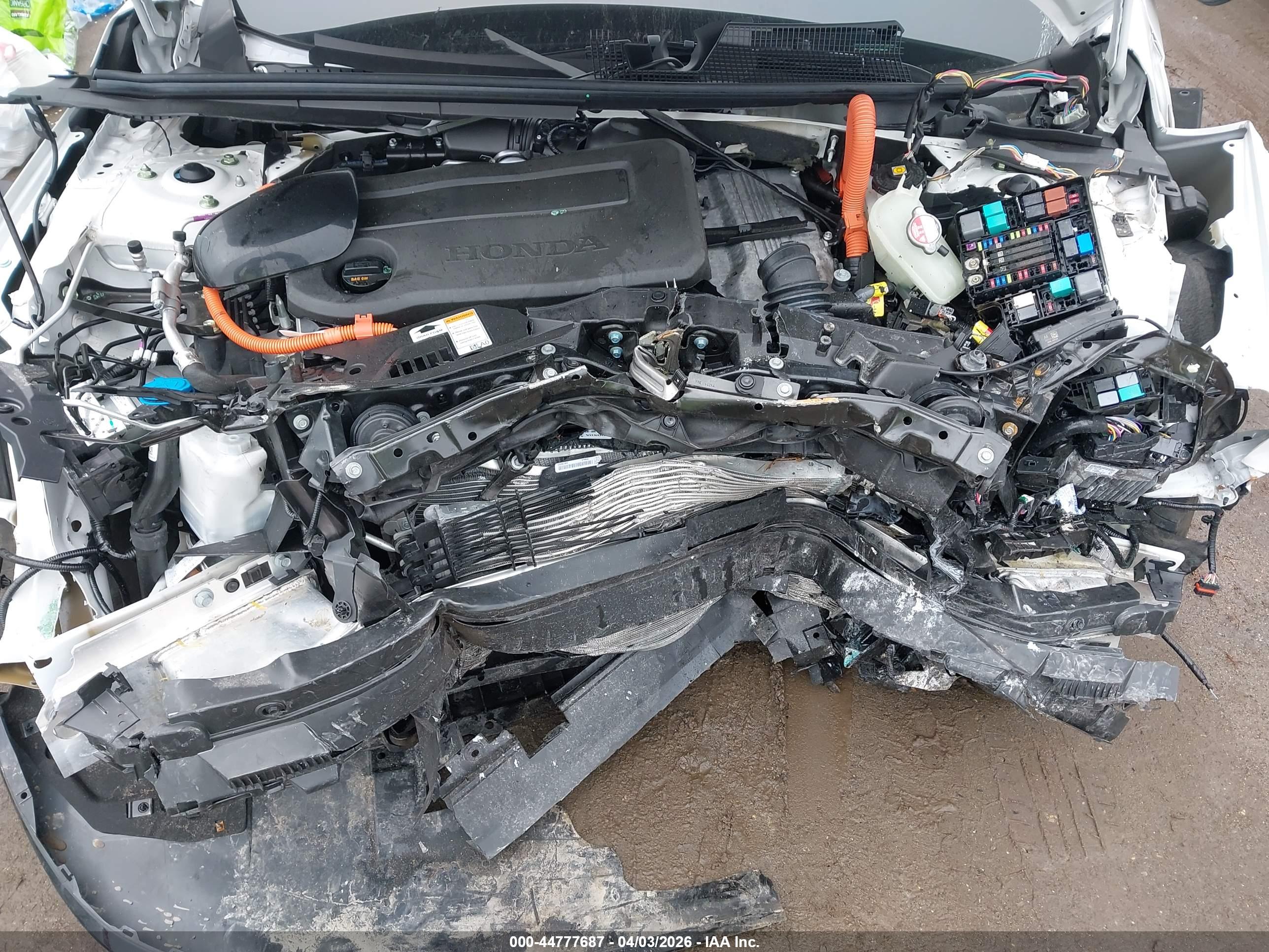 HONDA ACCORD image 10