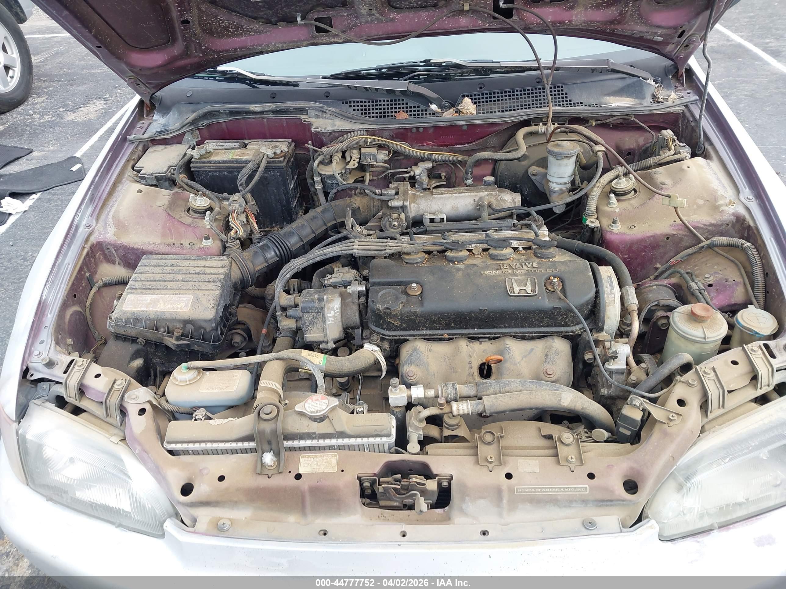 HONDA CIVIC image 10