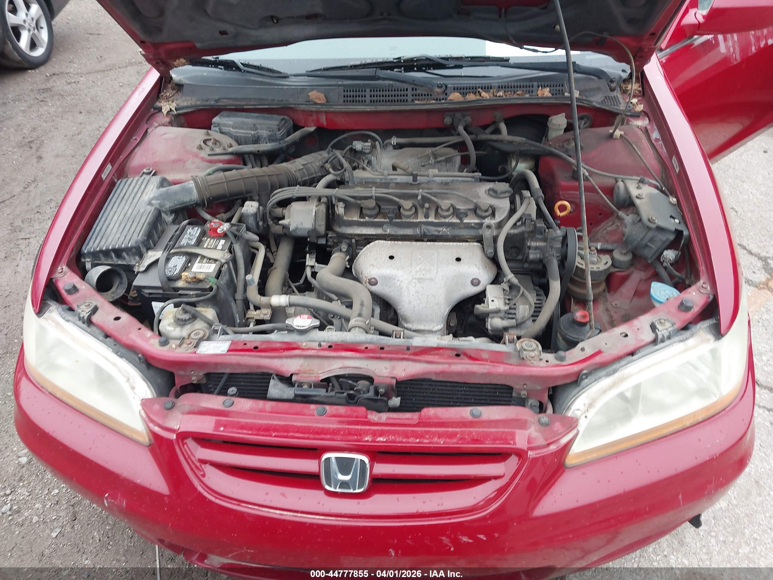 HONDA ACCORD image 10