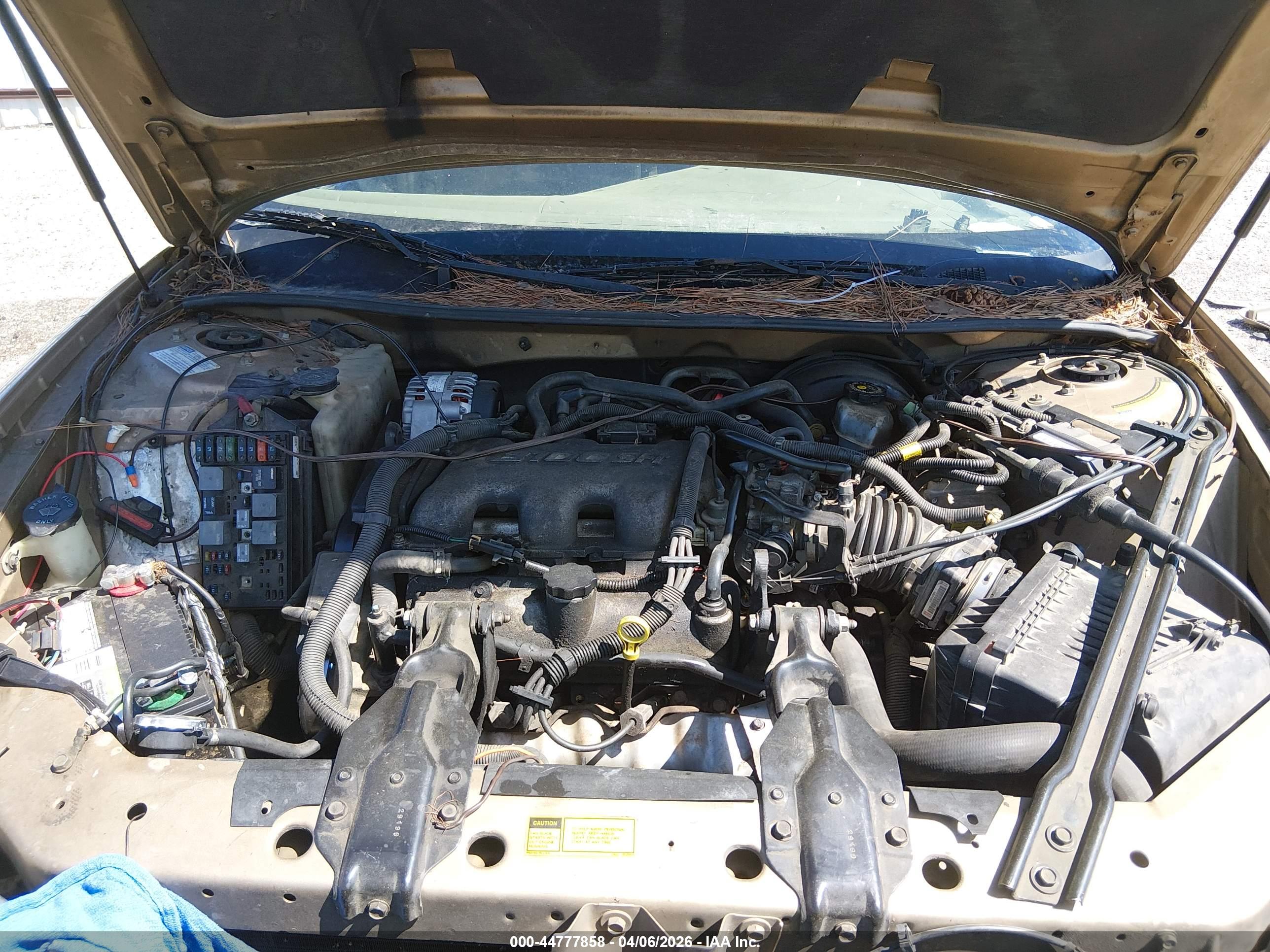 BUICK CENTURY image 10
