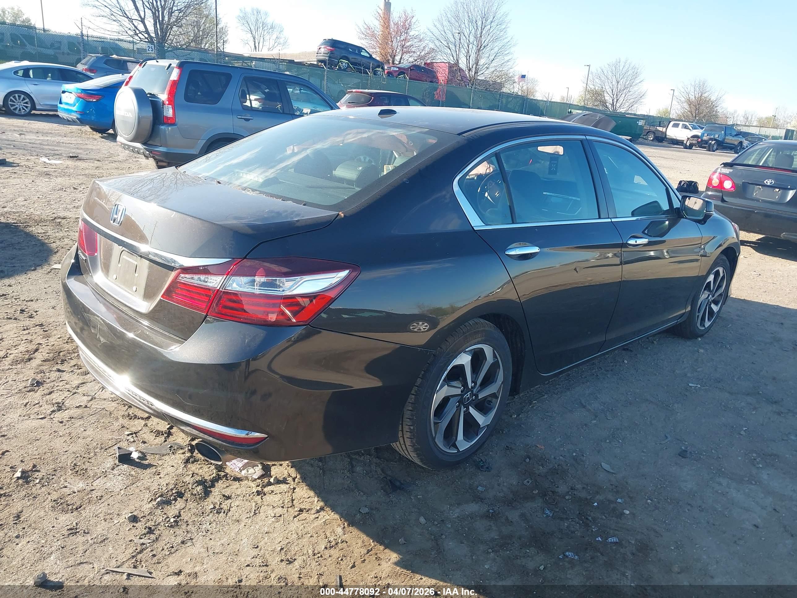 HONDA ACCORD image 4