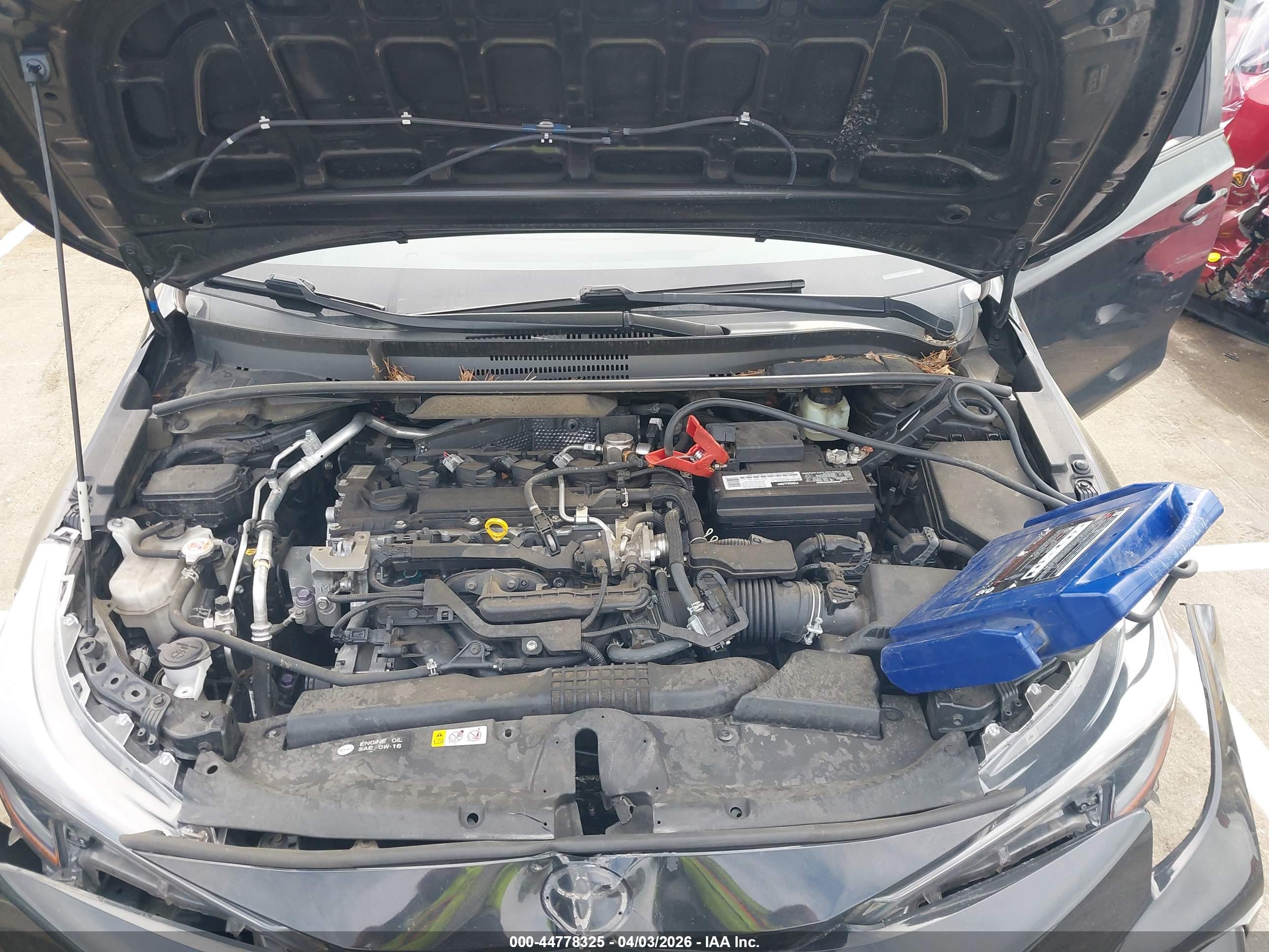 TOYOTA COROLLA image 10