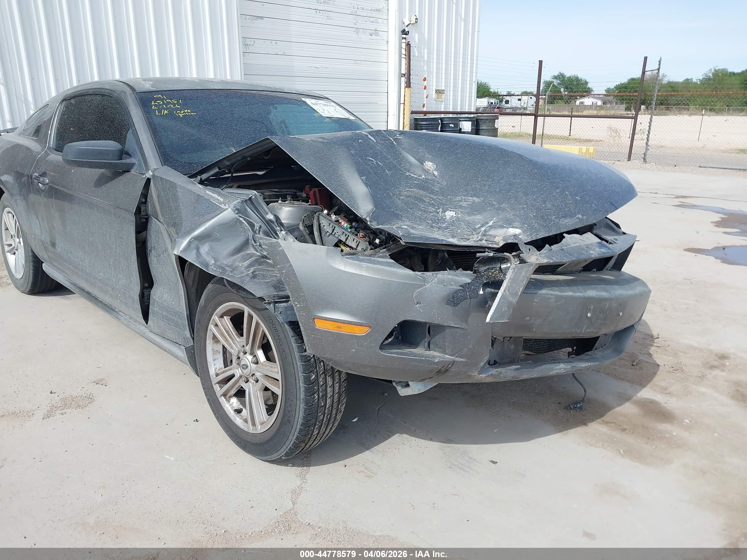 FORD MUSTANG image 6