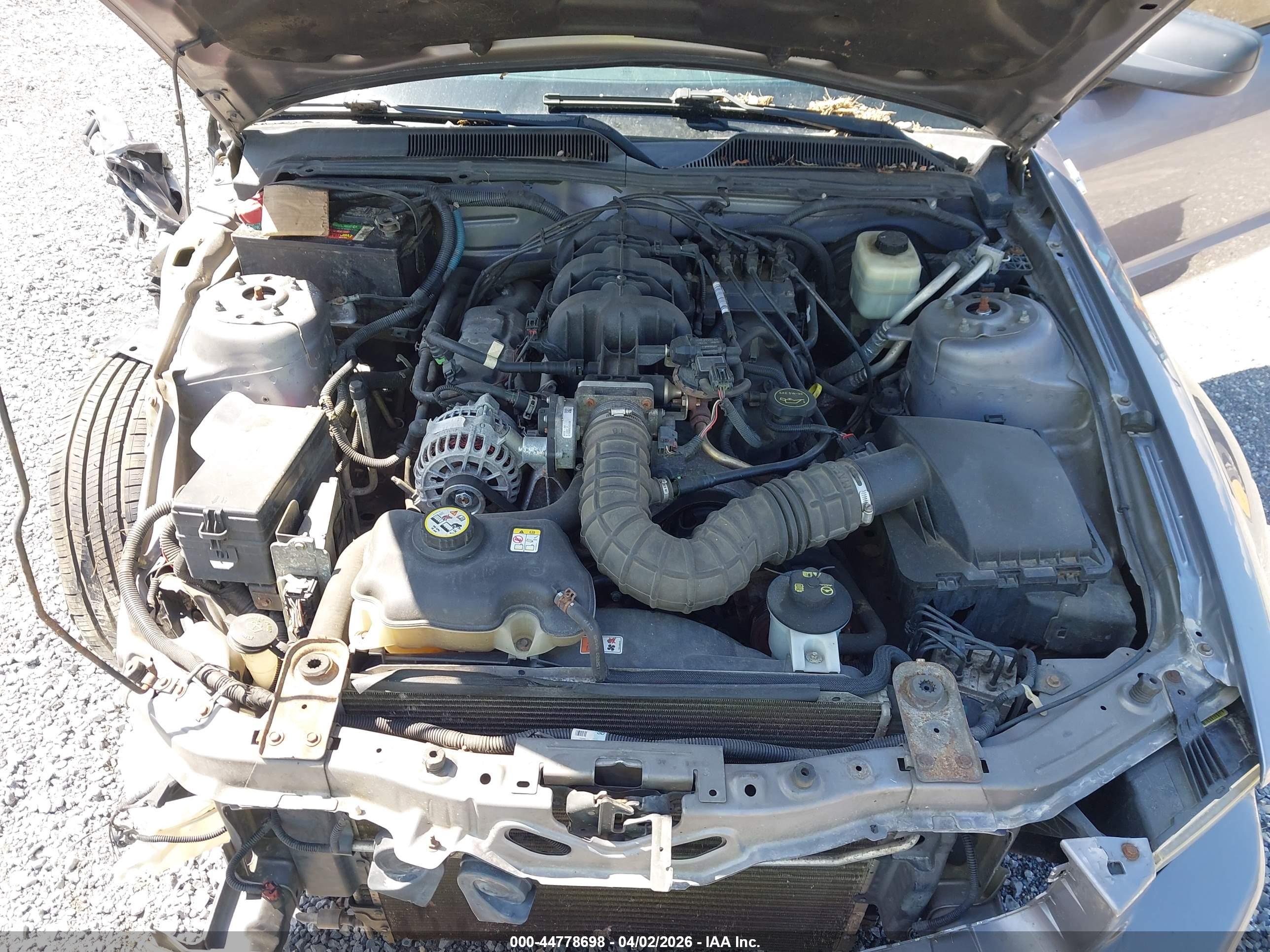 FORD MUSTANG image 10