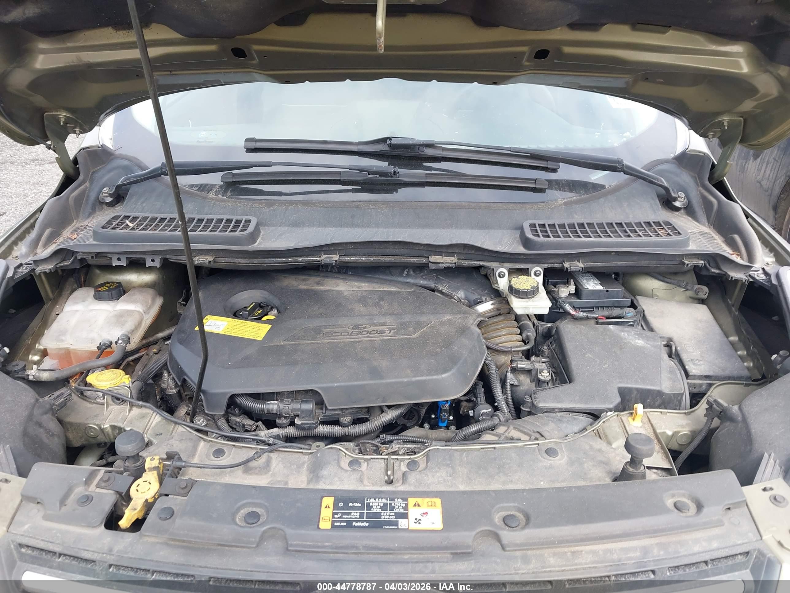 FORD ESCAPE image 10