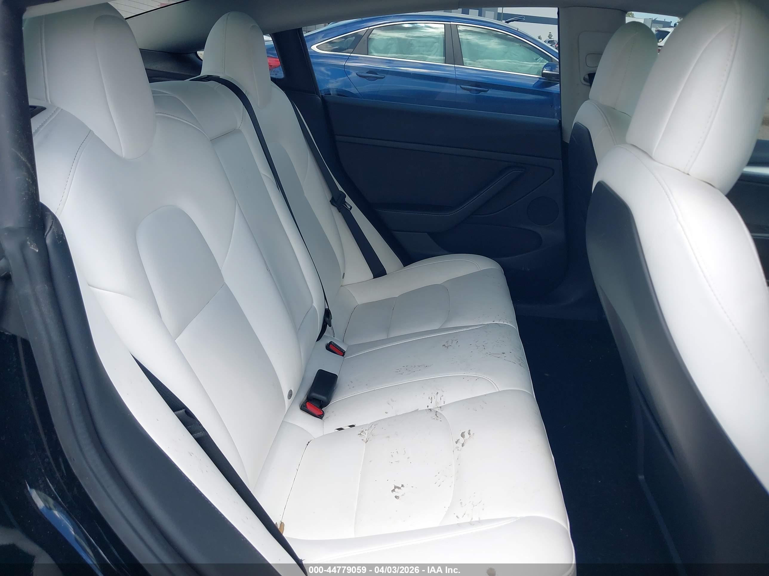 TESLA MODEL image 8