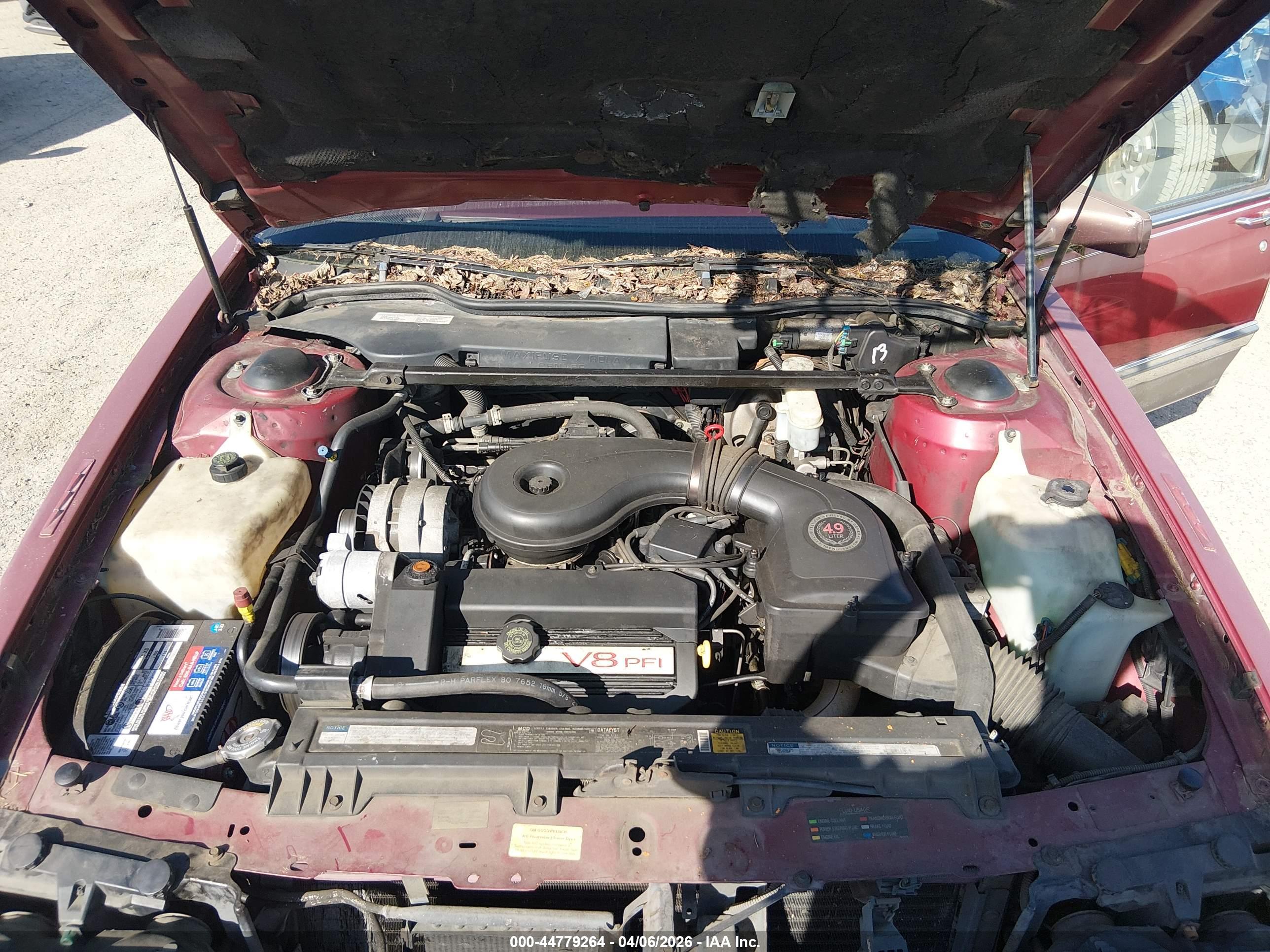 CADILLAC DEVILLE image 10