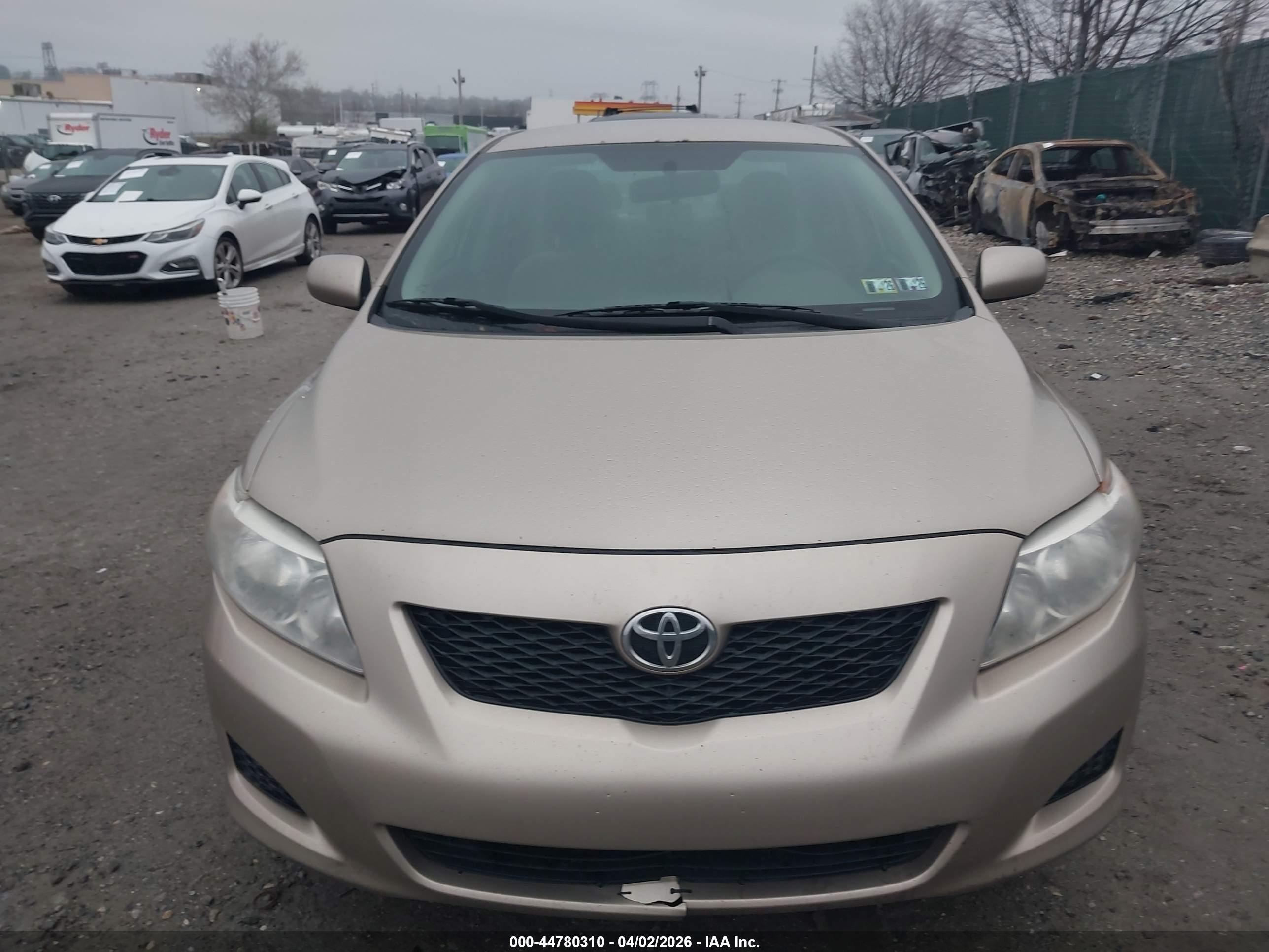 TOYOTA COROLLA image 6