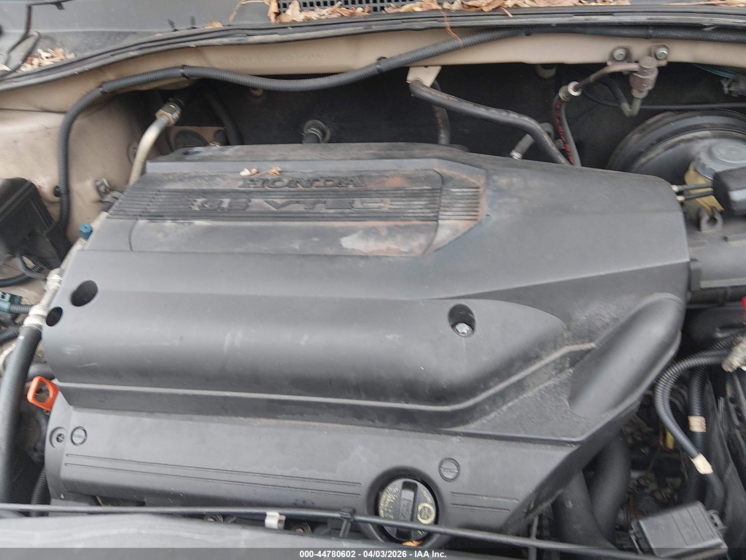 HONDA ODYSSEY image 10