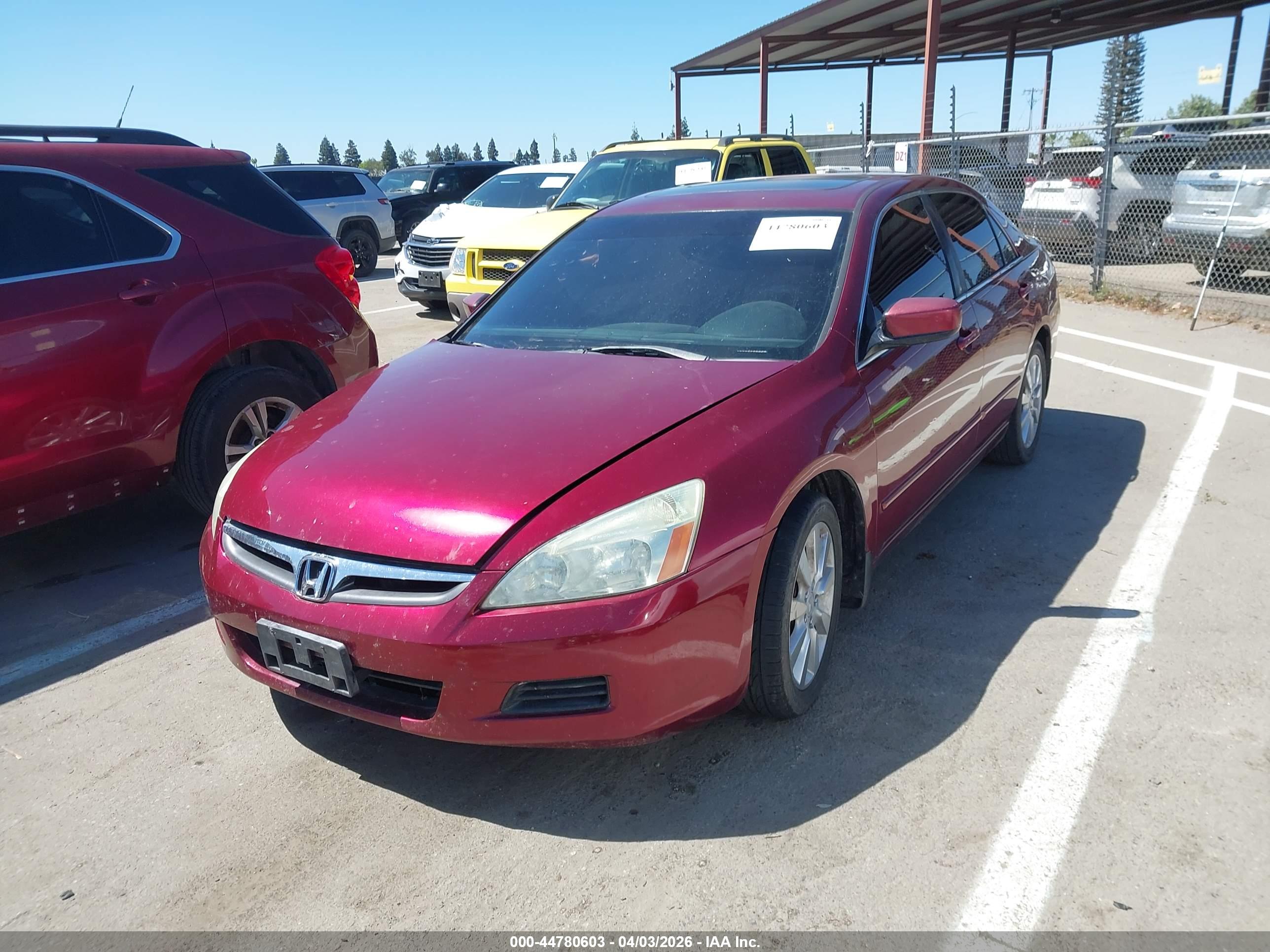 HONDA ACCORD image 2