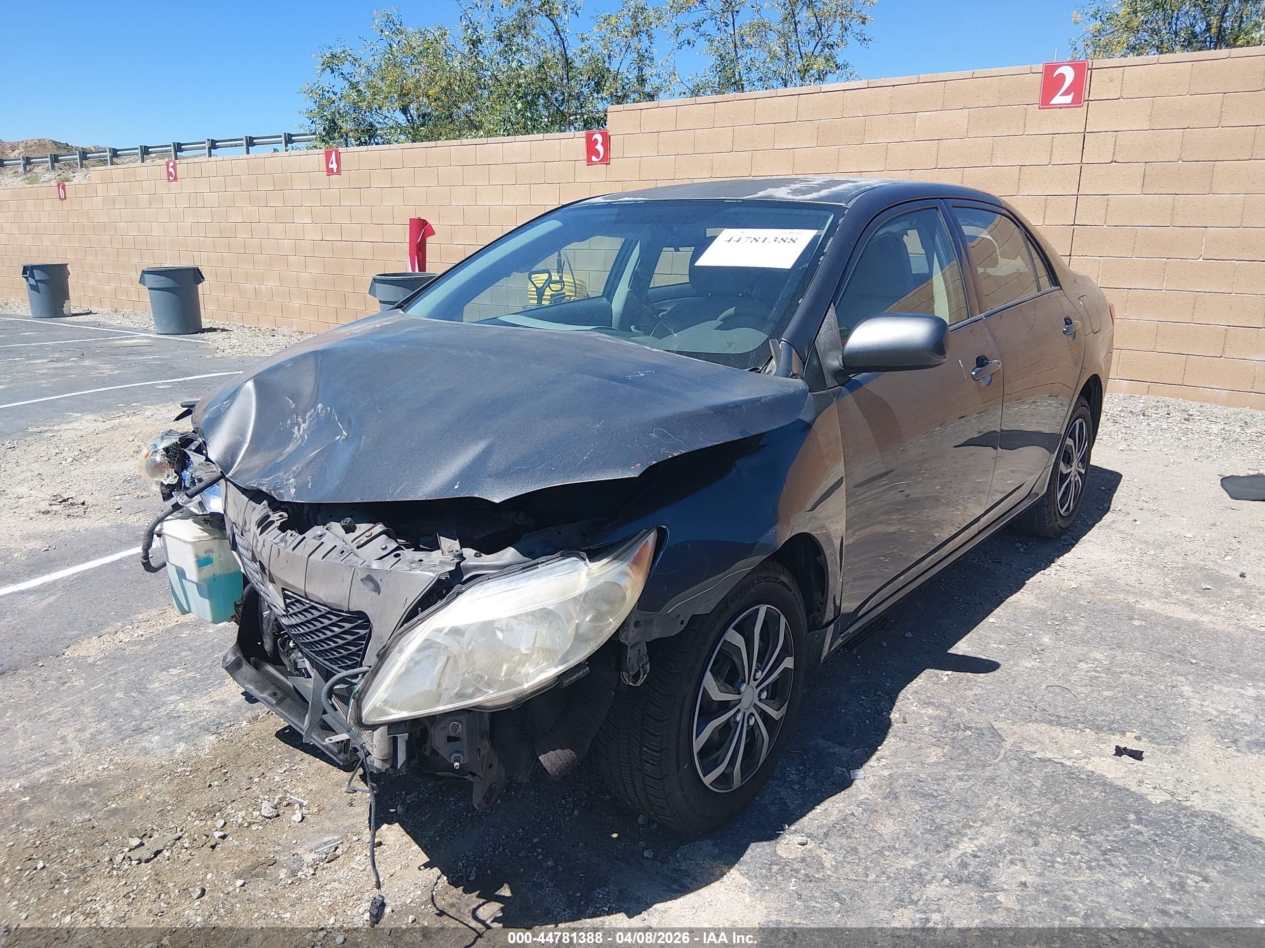 TOYOTA COROLLA image 2