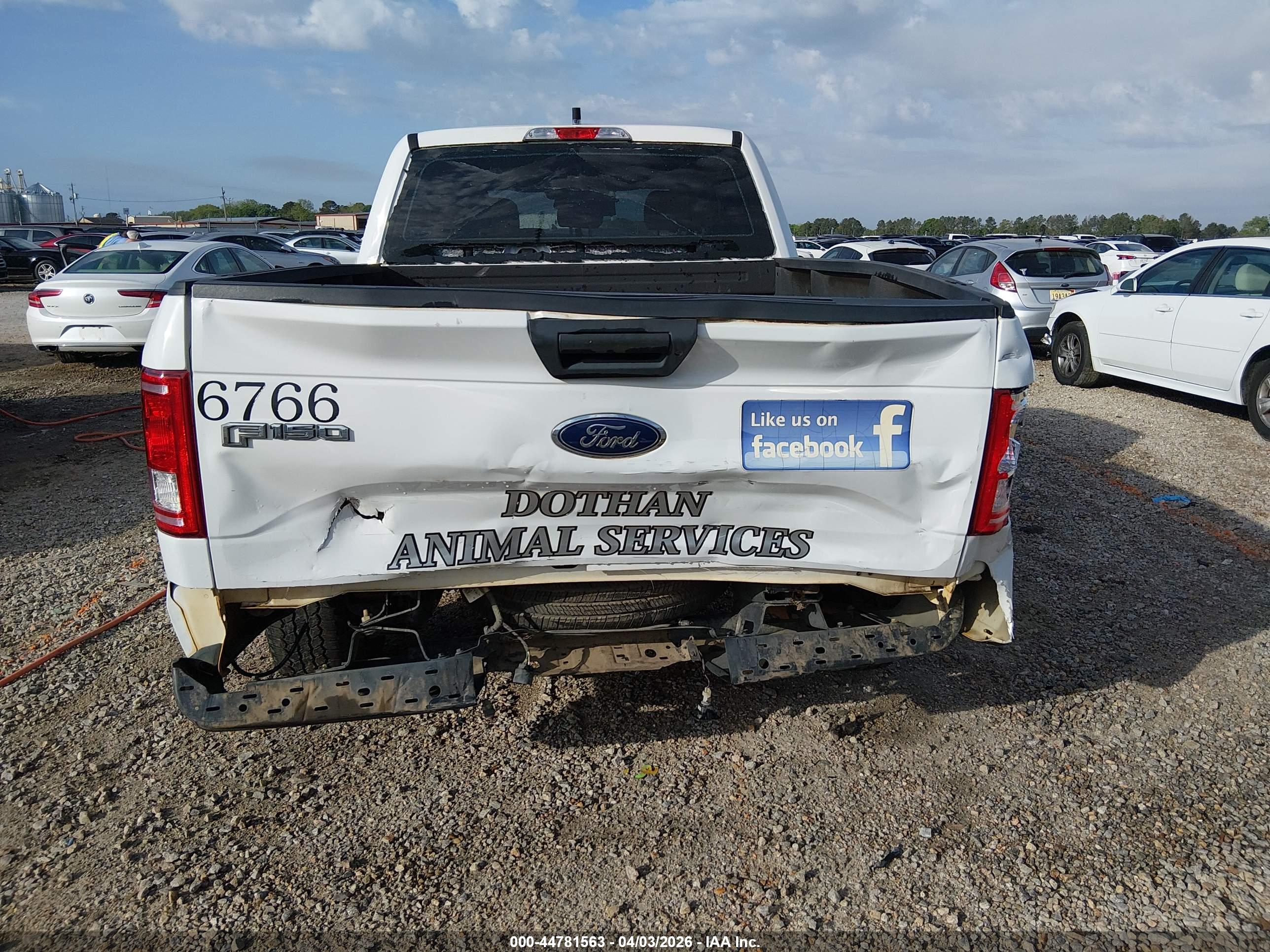 FORD F-150 image 6