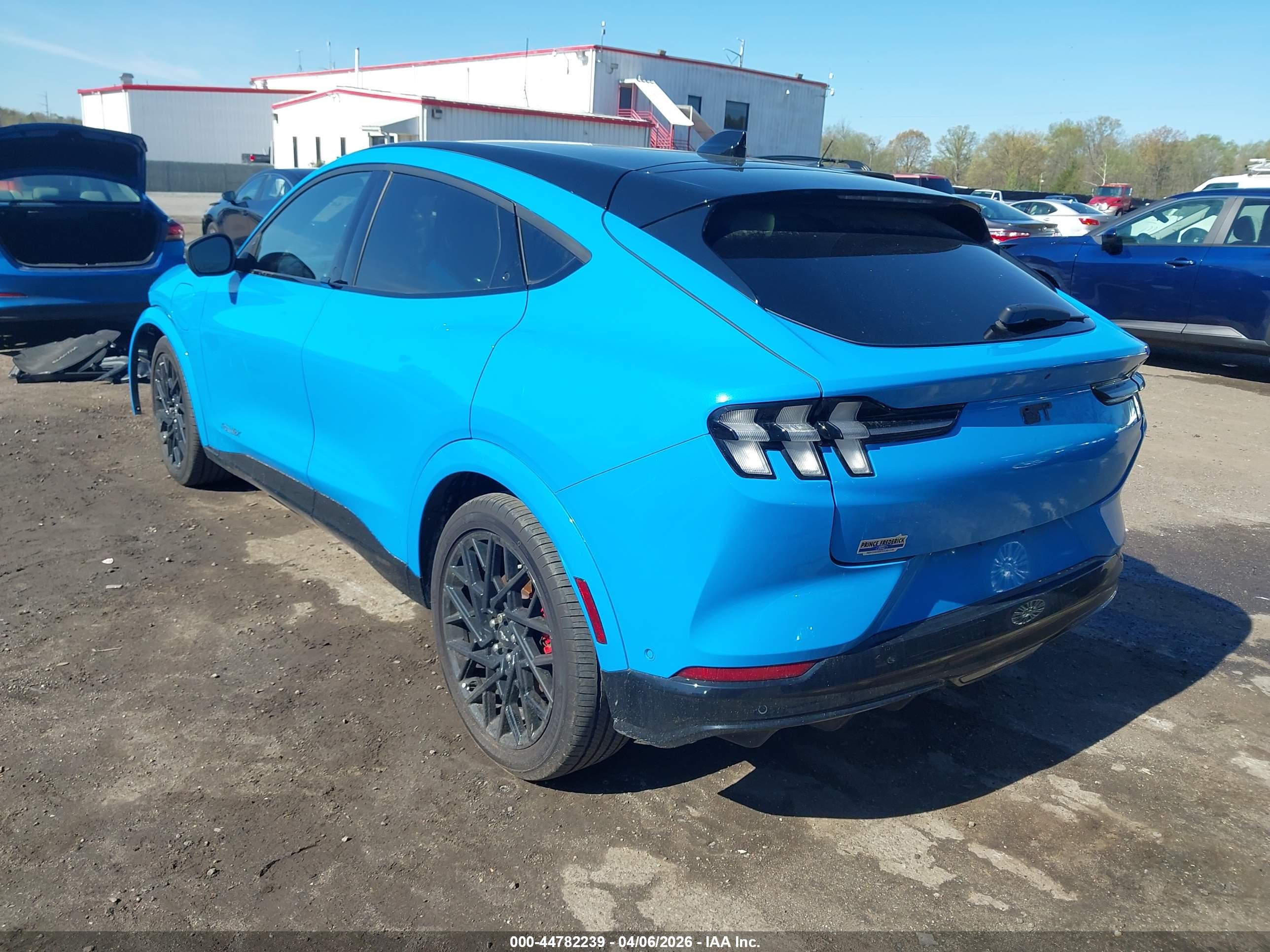 FORD MUSTANG image 3