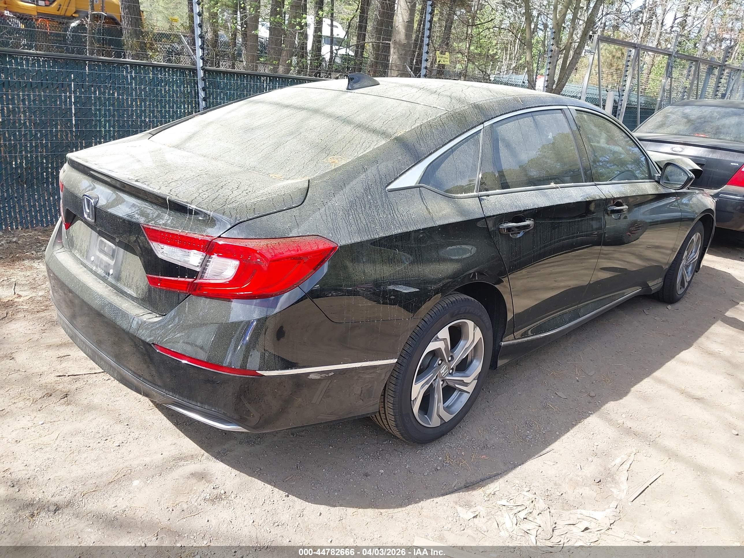 HONDA ACCORD image 4
