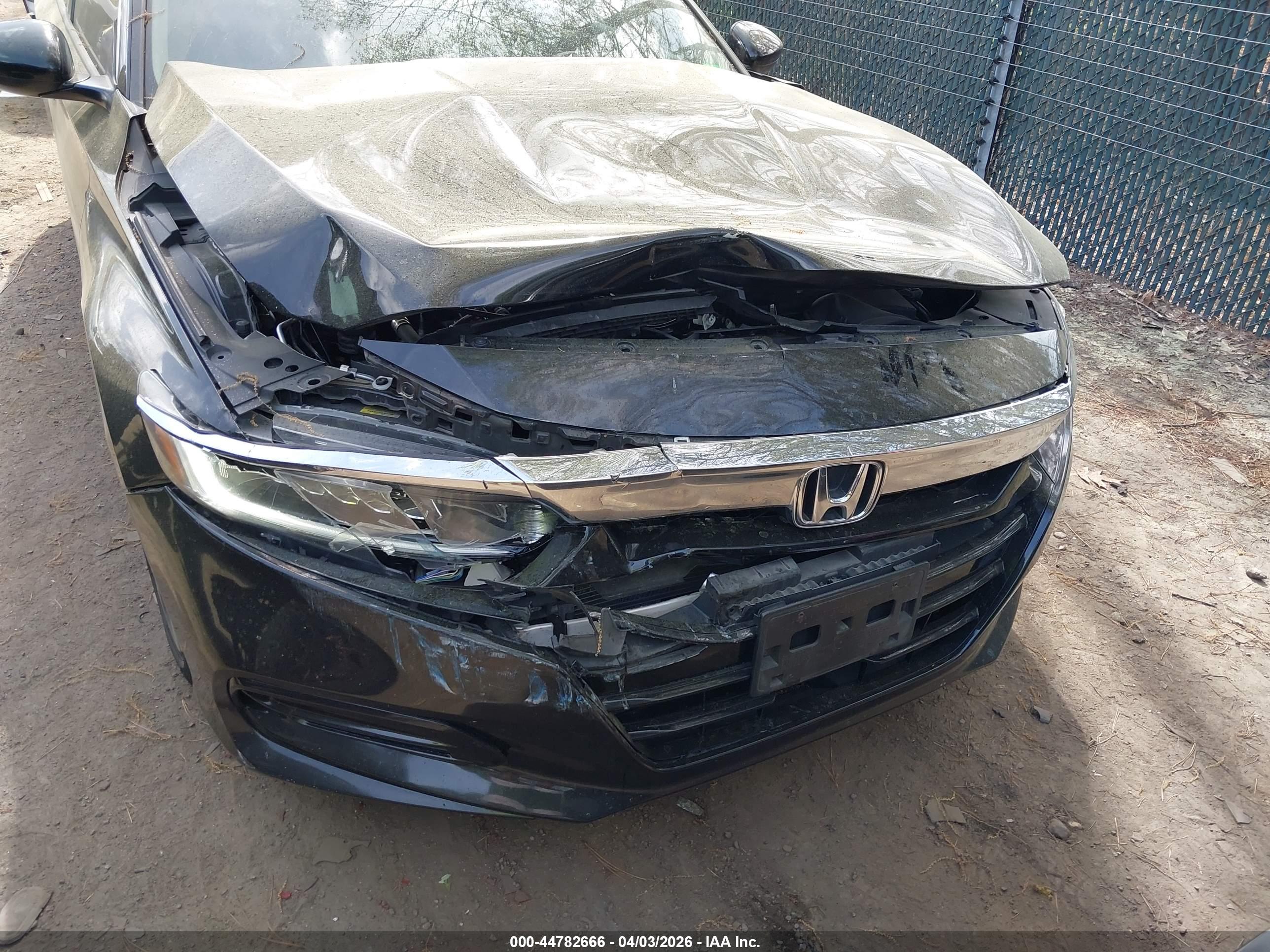 HONDA ACCORD image 6
