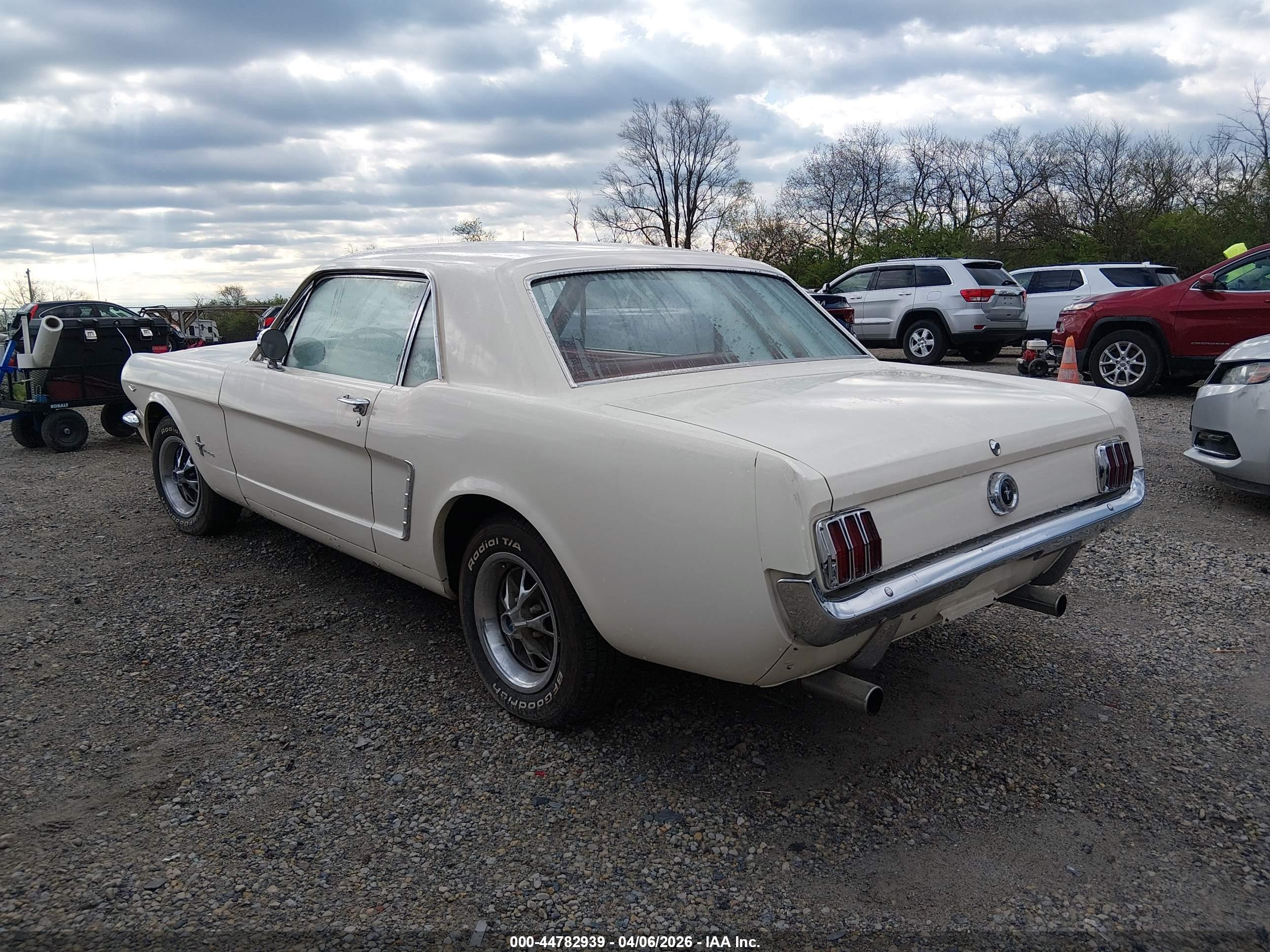 FORD MUSTANG image 3