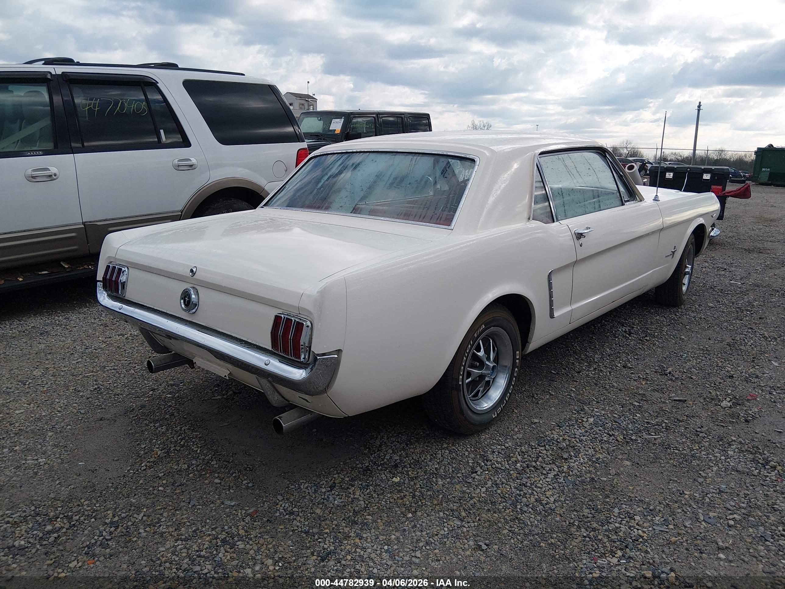 FORD MUSTANG image 4