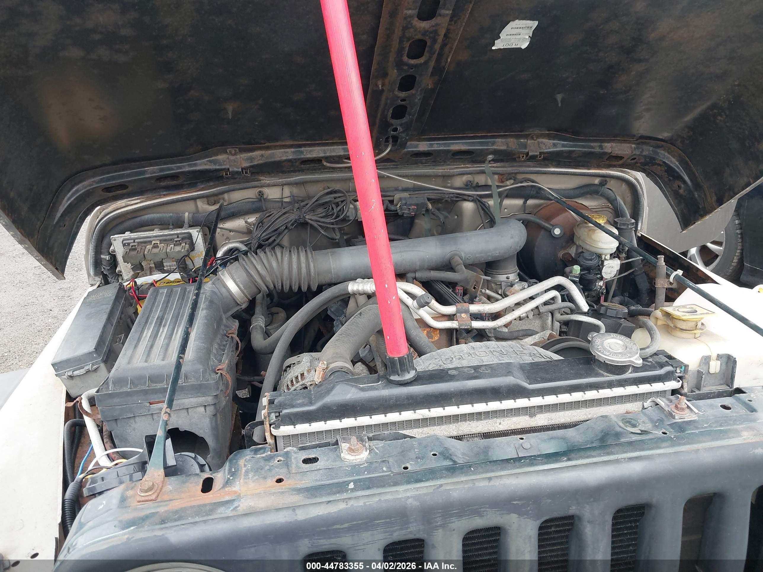 JEEP WRANGLER image 10