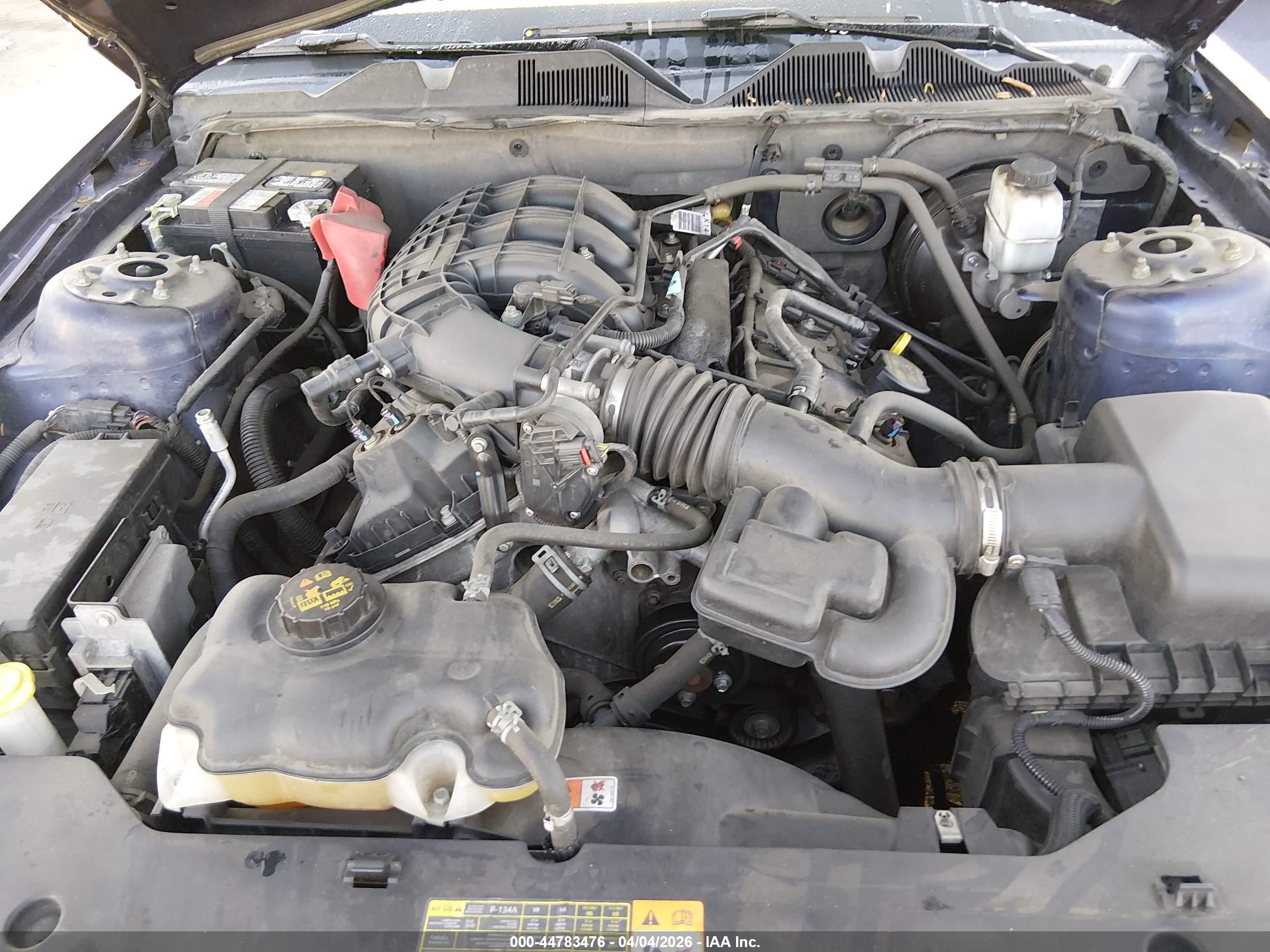 FORD MUSTANG image 10