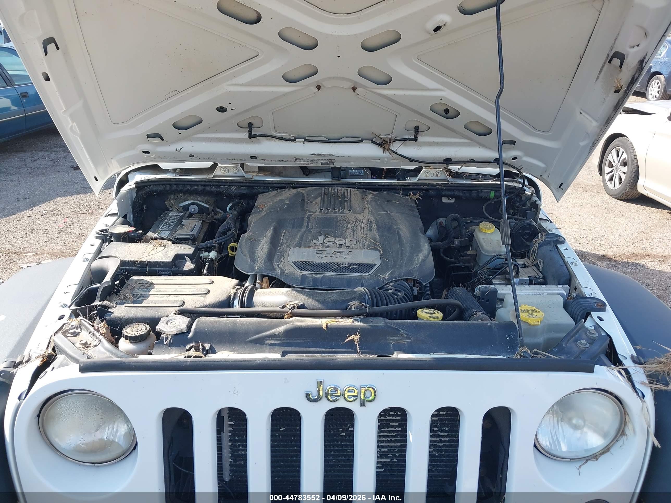 JEEP WRANGLER image 10