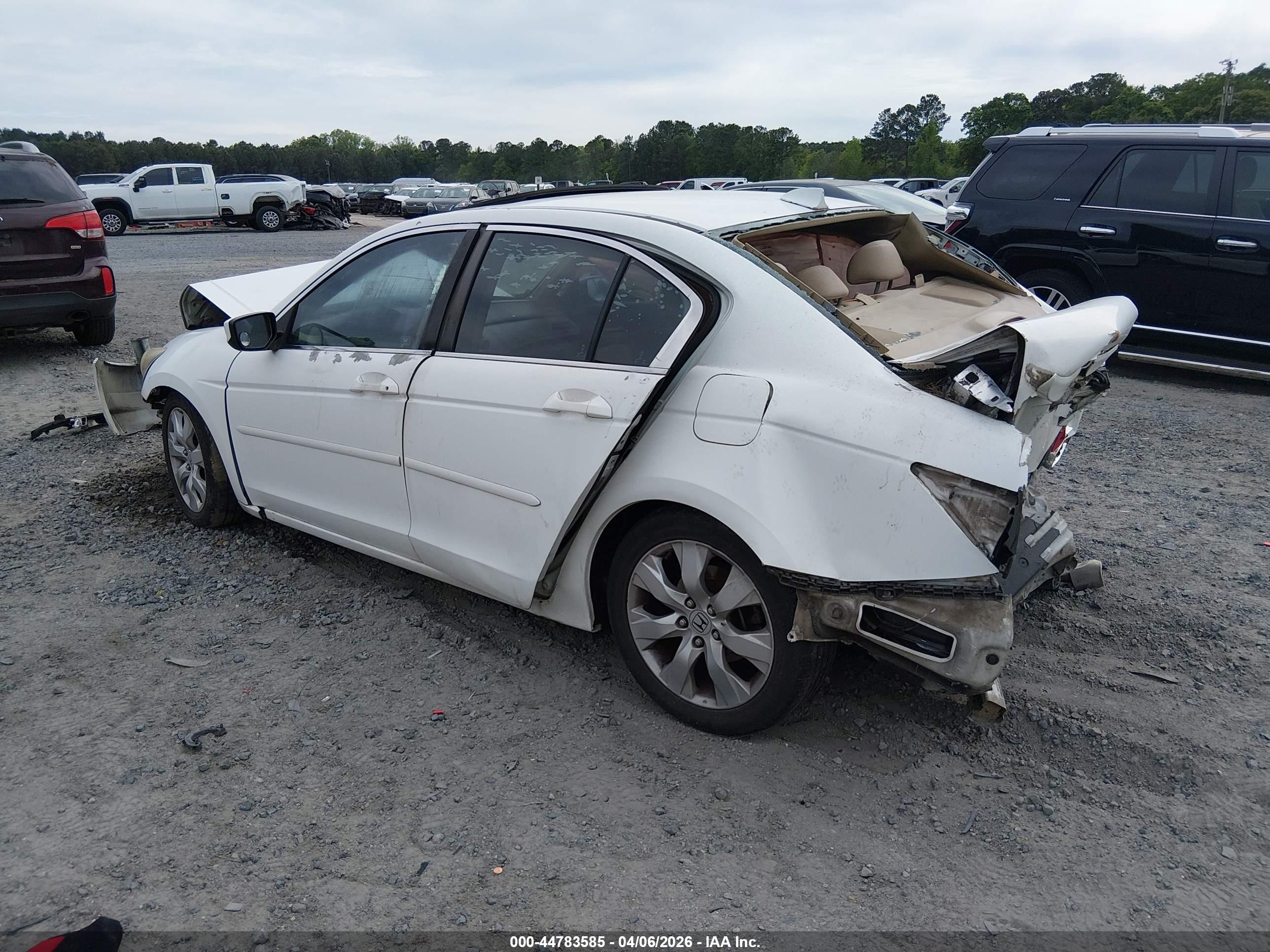 HONDA ACCORD image 3
