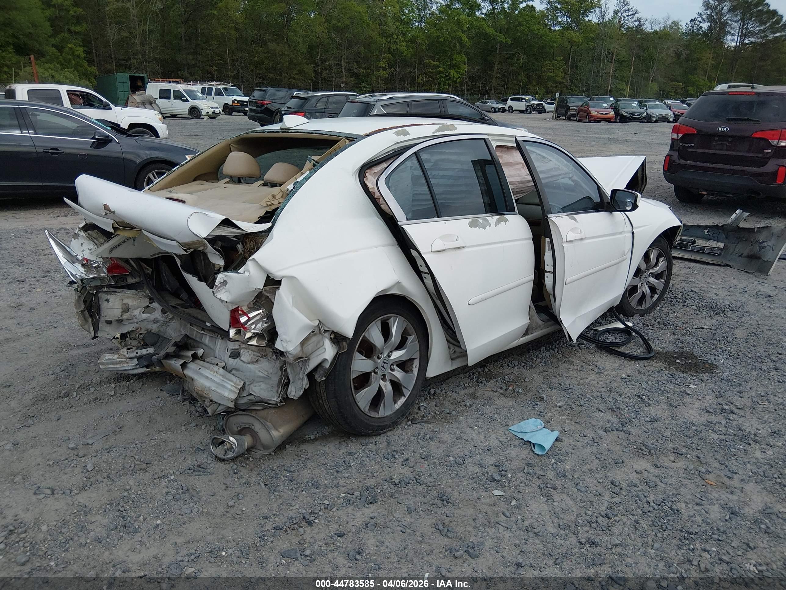 HONDA ACCORD image 4