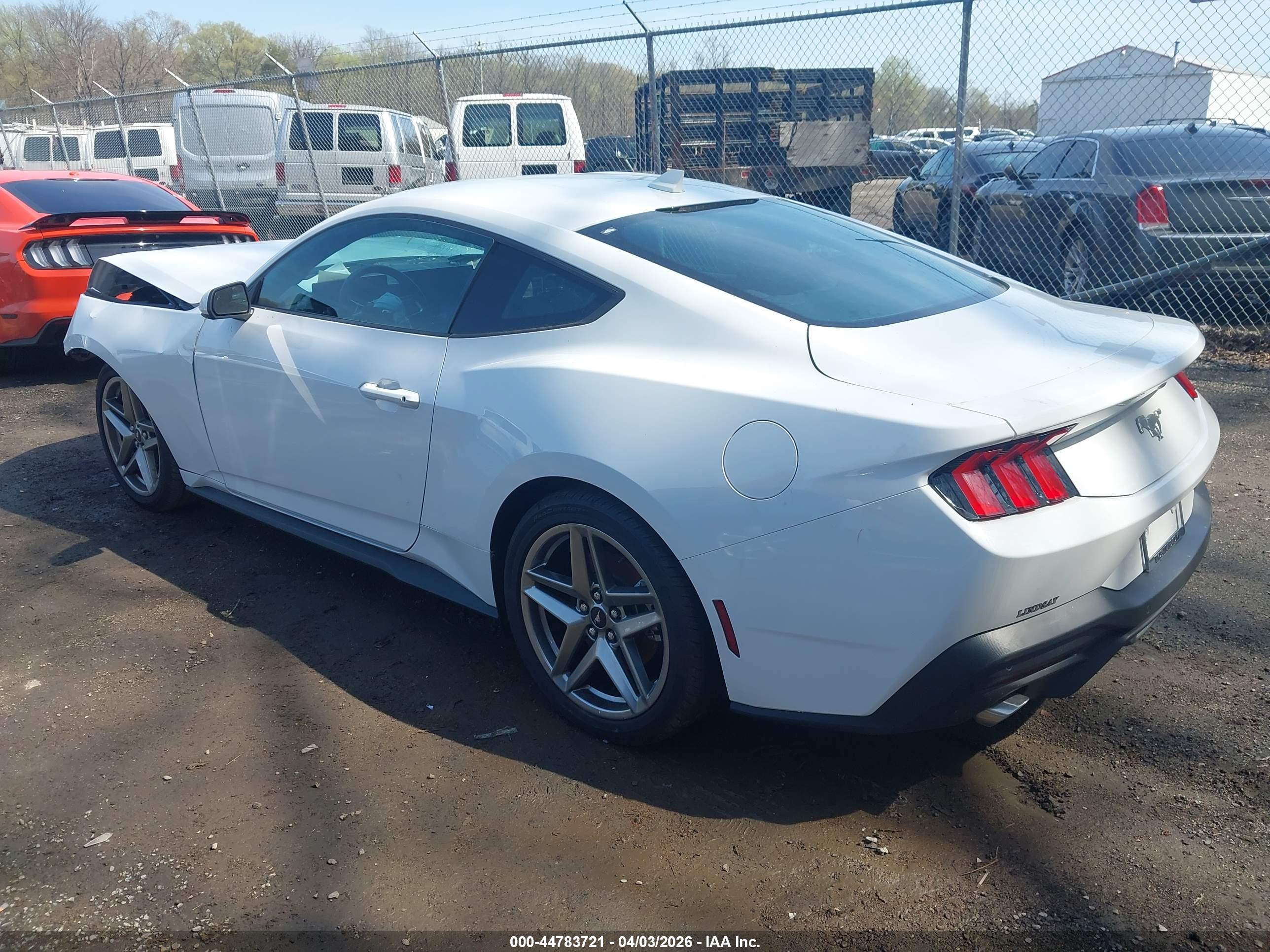 FORD MUSTANG image 3