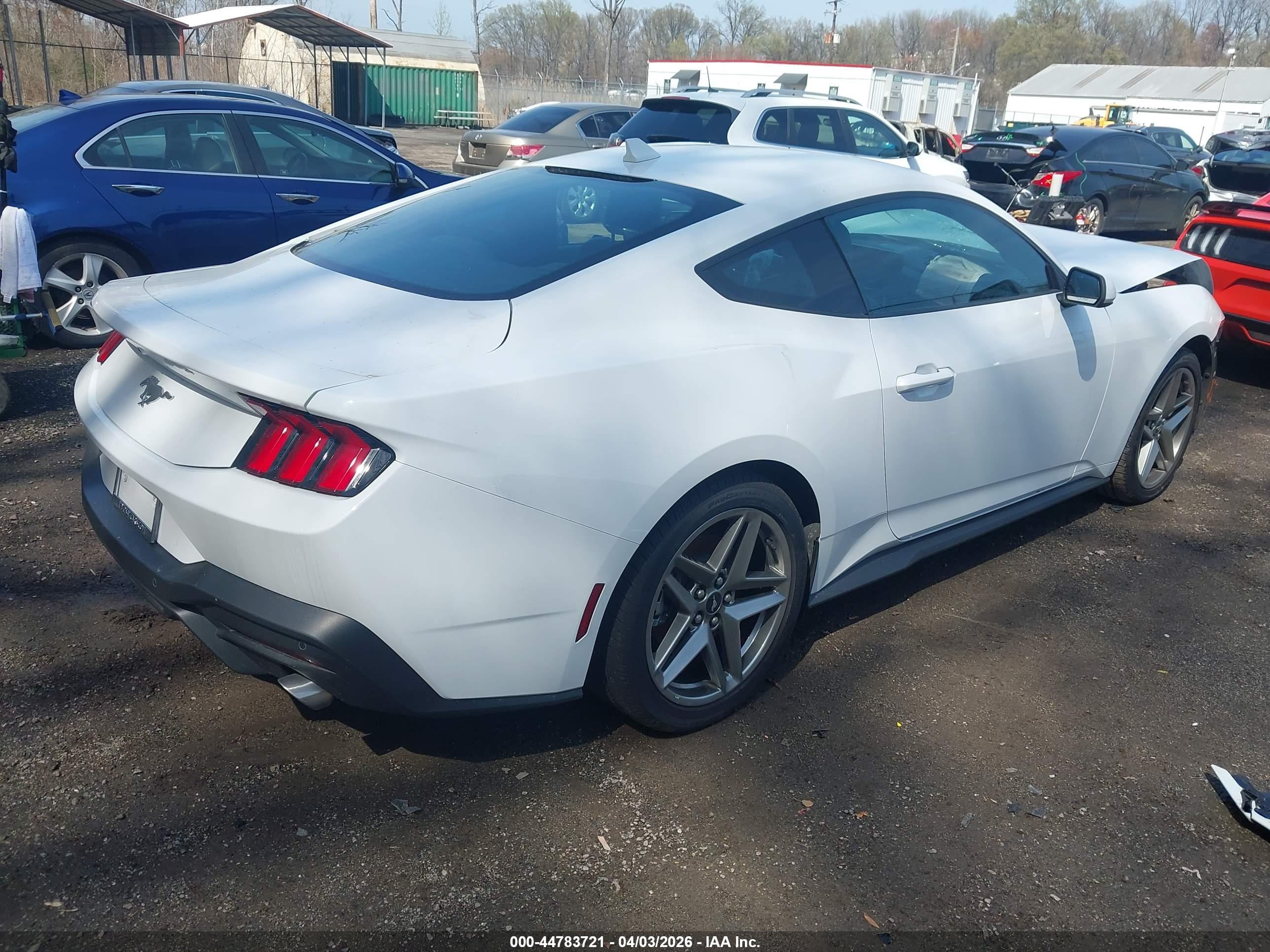 FORD MUSTANG image 4