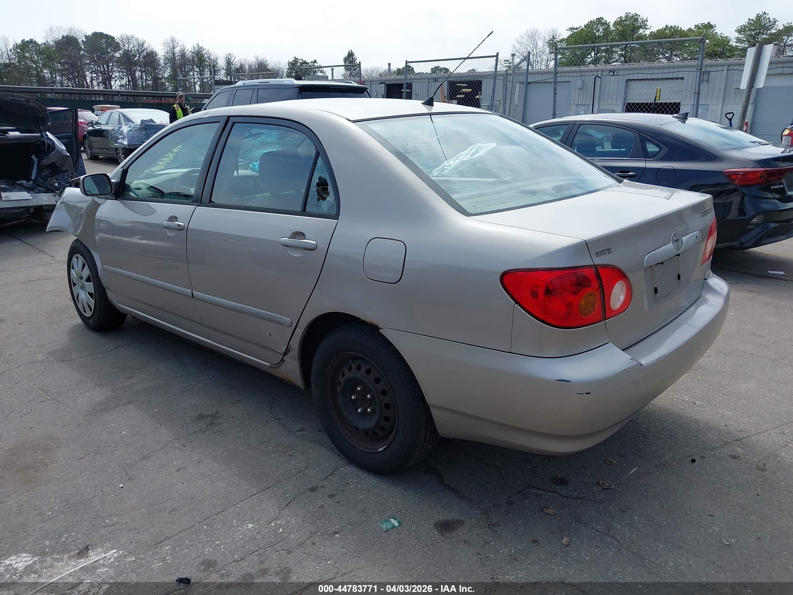 TOYOTA COROLLA image 3