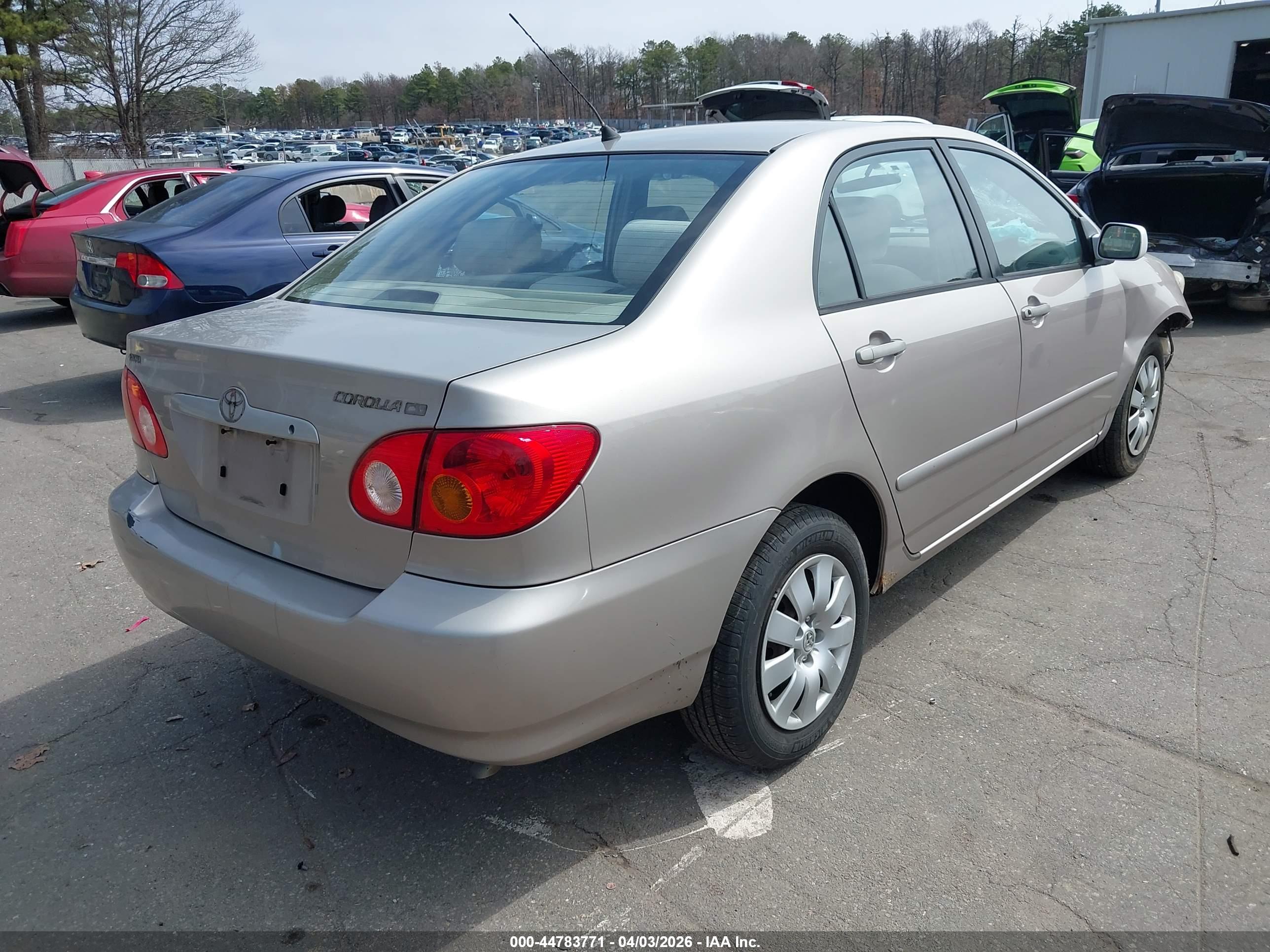 TOYOTA COROLLA image 4