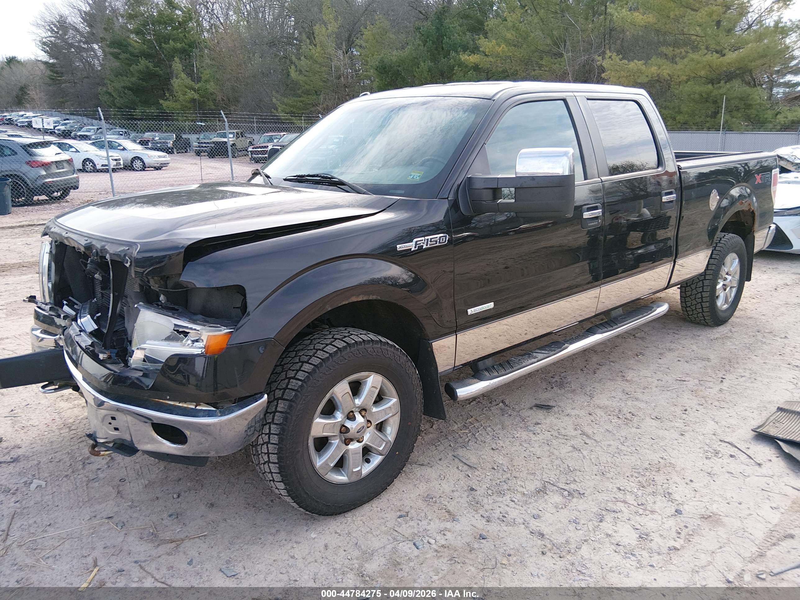 FORD F-150 image 2