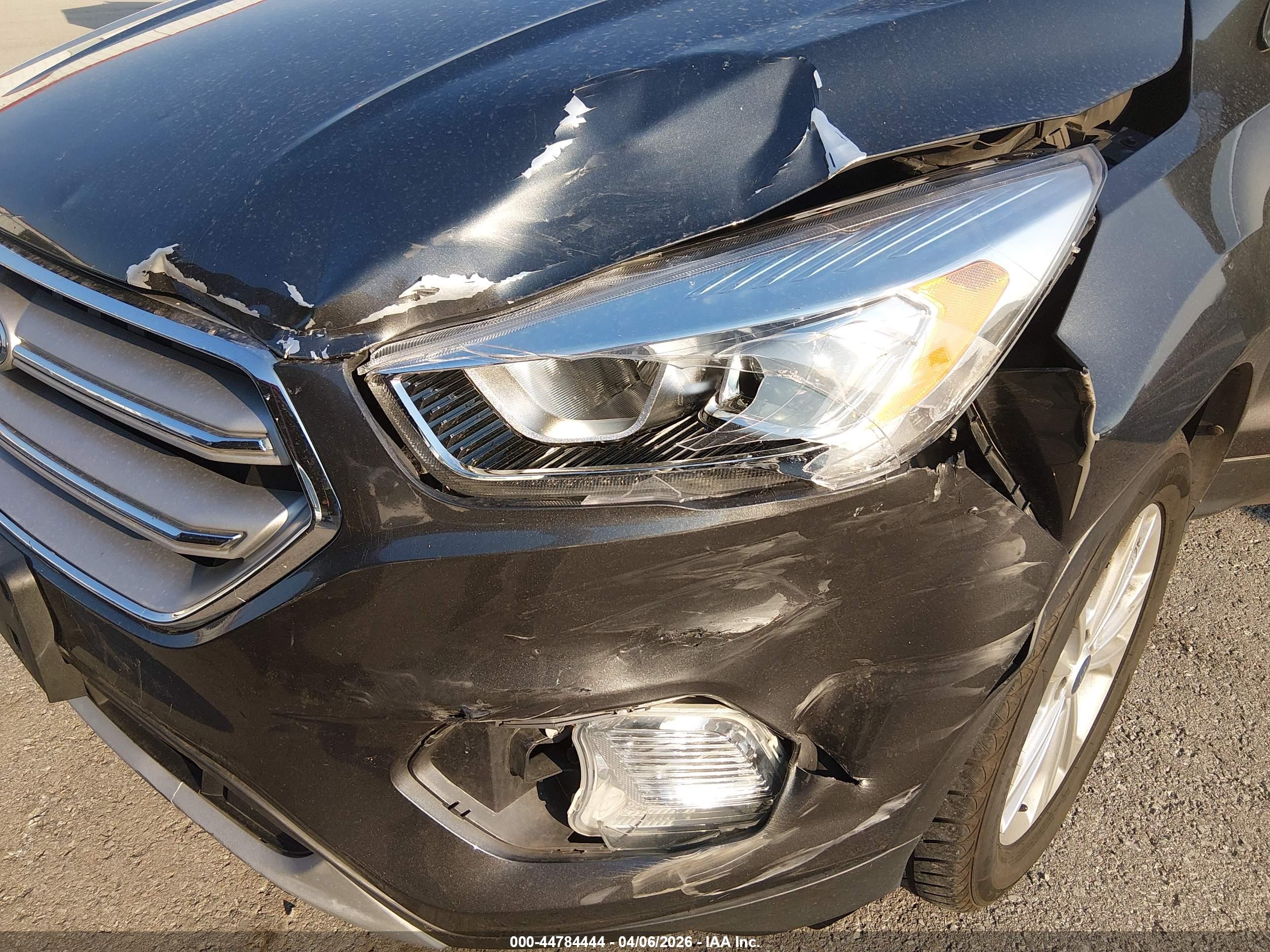 FORD ESCAPE image 6