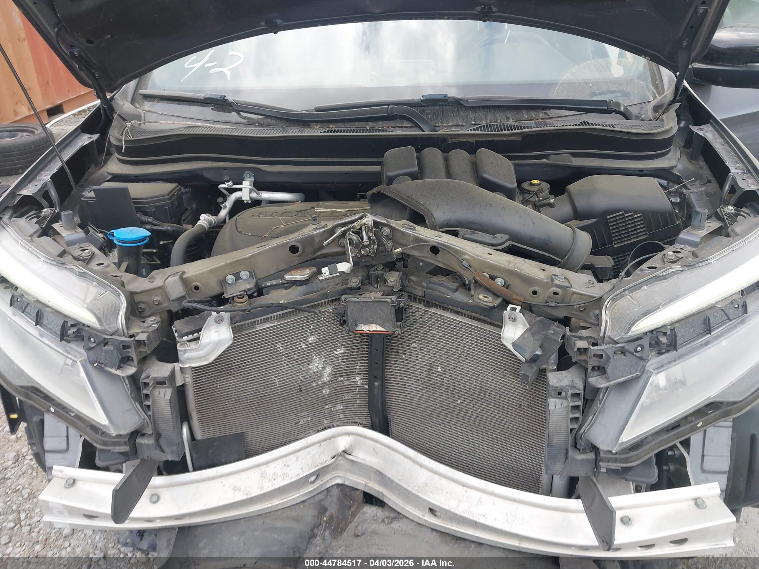 HONDA PASSPORT image 10