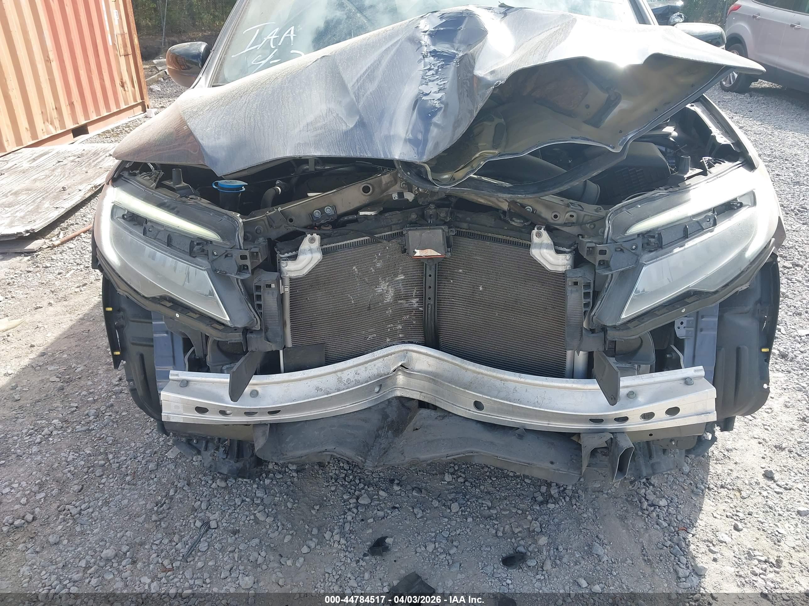 HONDA PASSPORT image 6