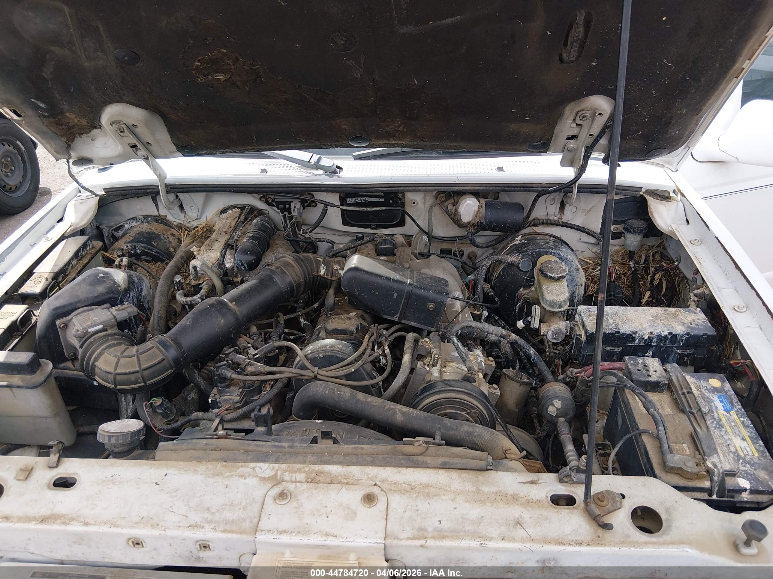 FORD RANGER image 10