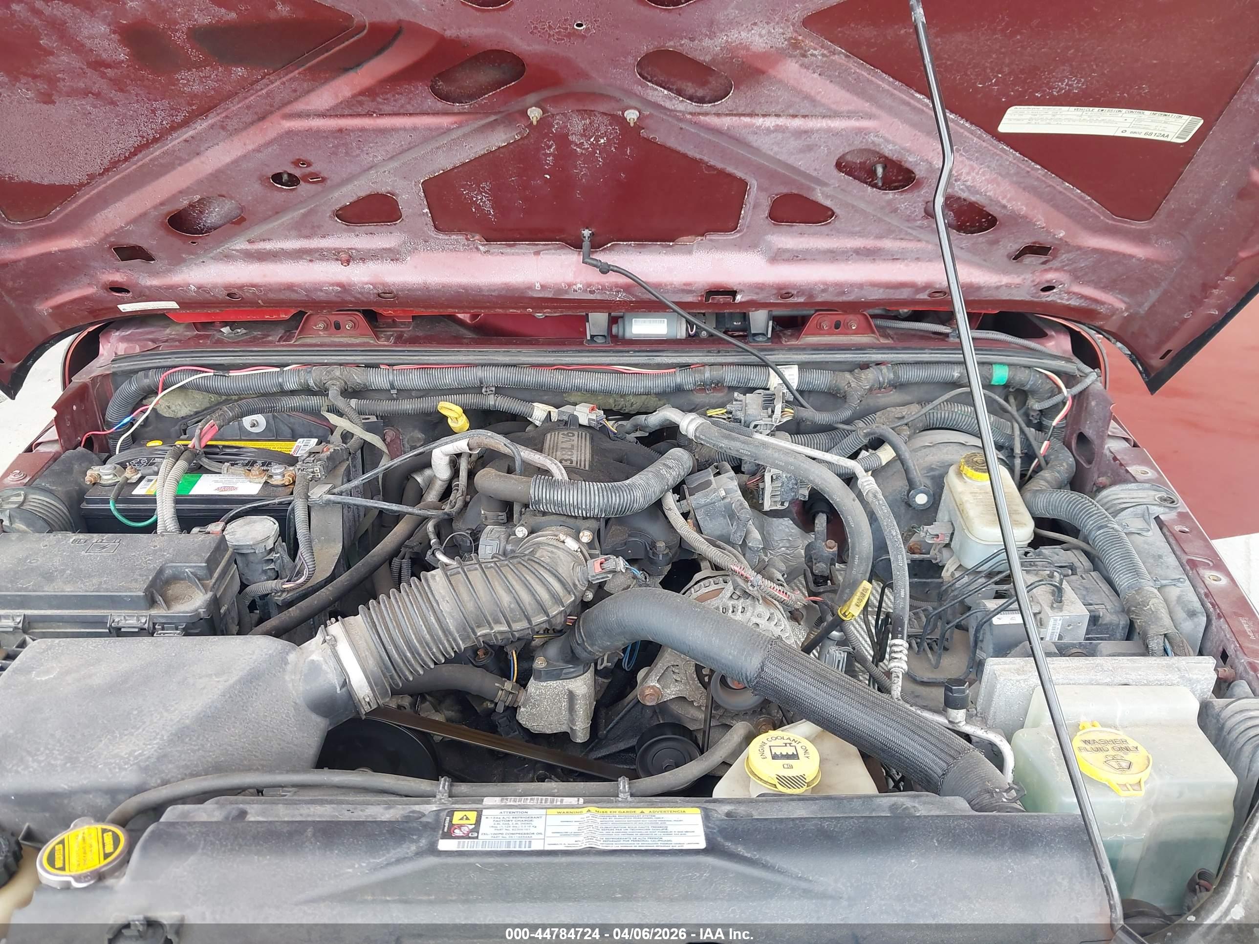 JEEP WRANGLER image 10