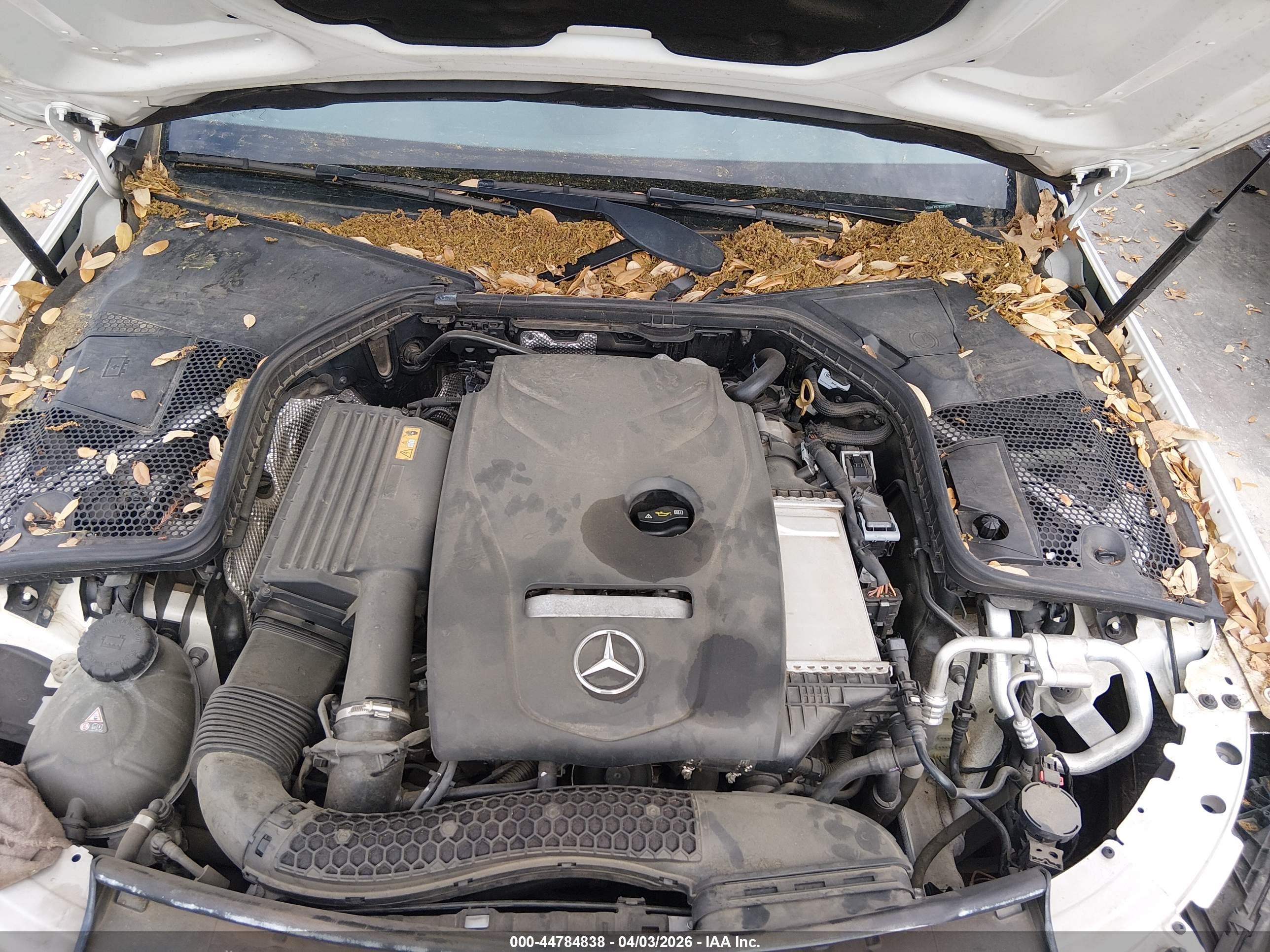 MERCEDES-BENZ C image 10