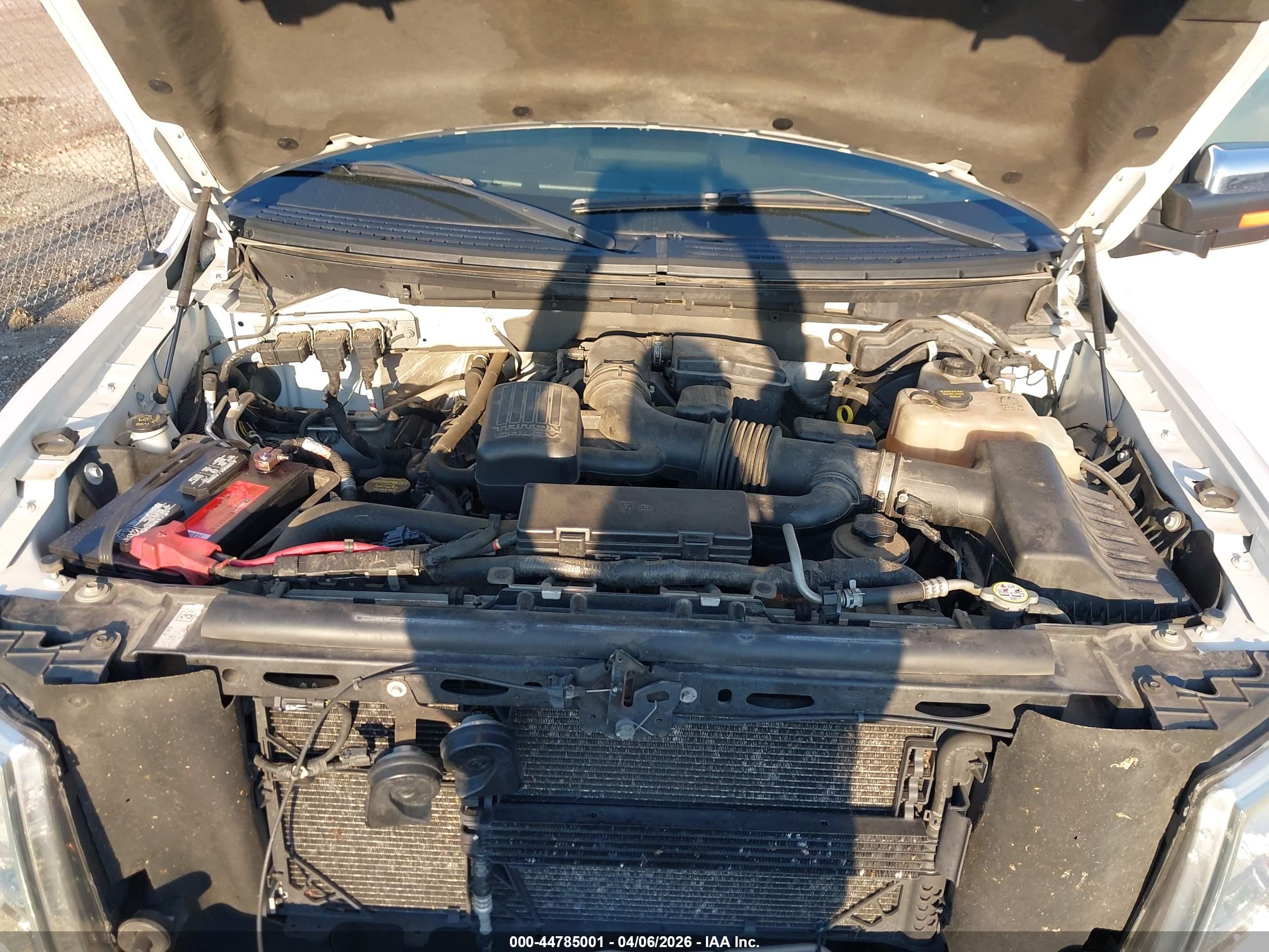 FORD F-150 image 10