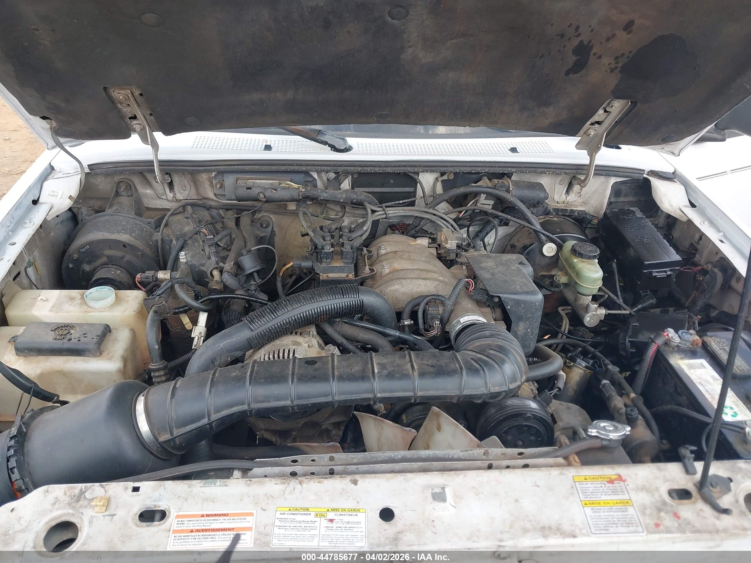 FORD RANGER image 10