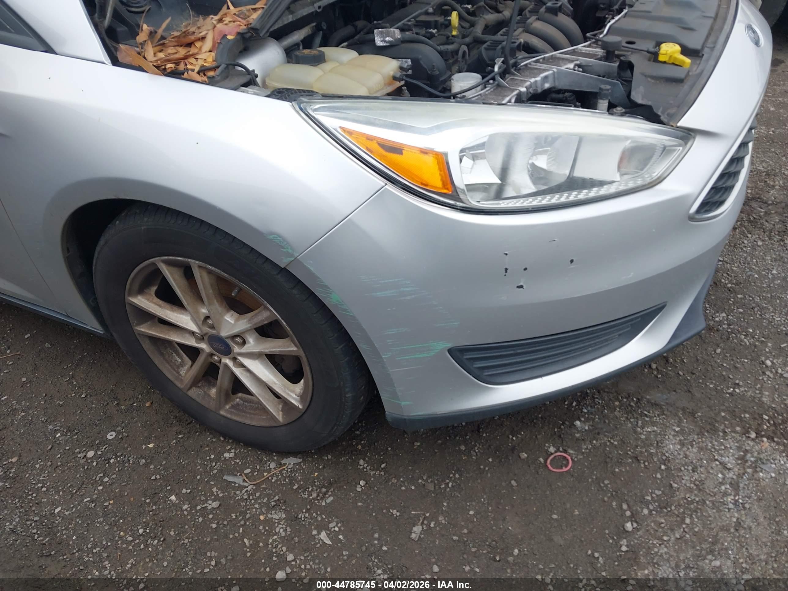 FORD FOCUS image 6