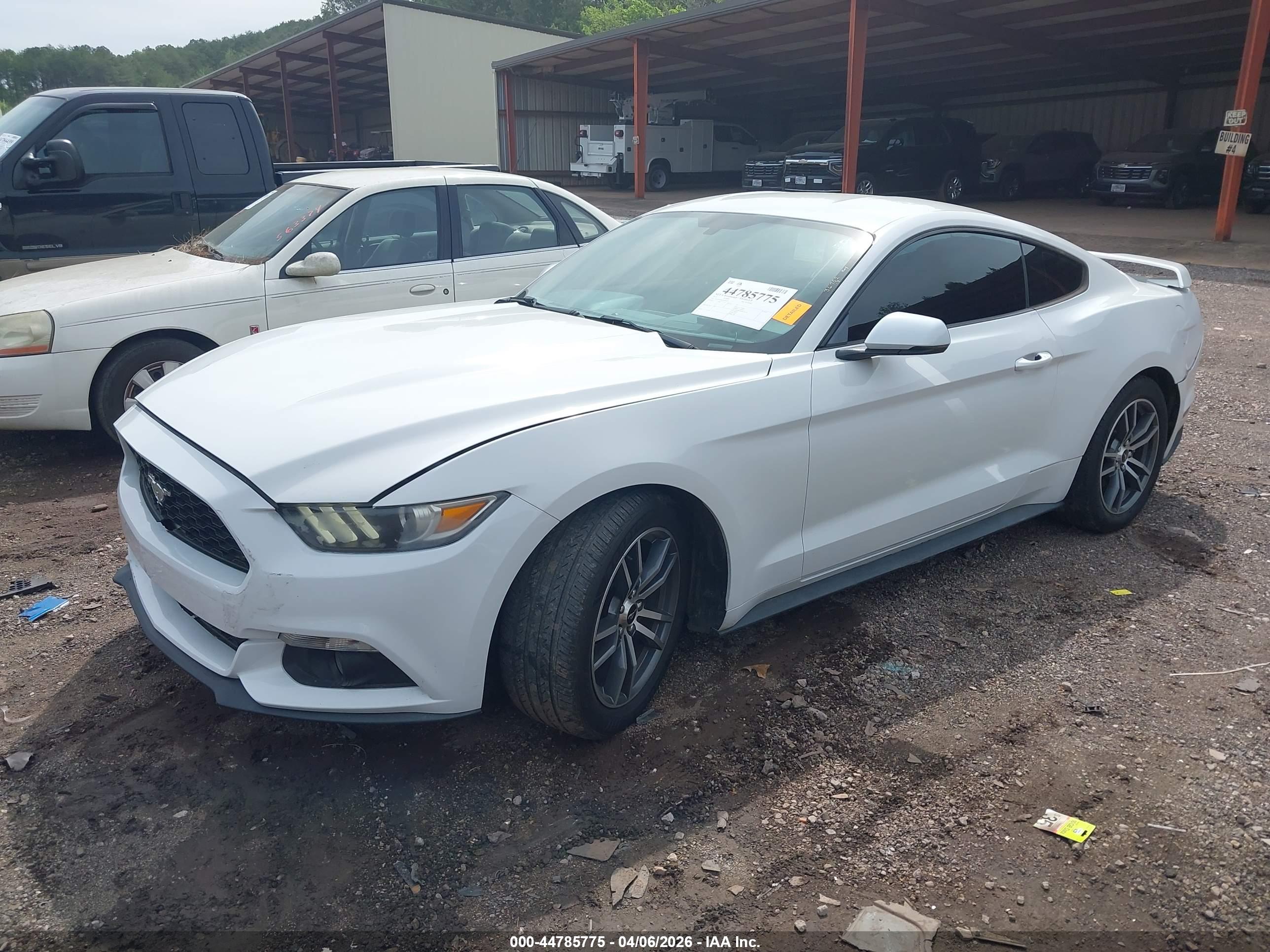 FORD MUSTANG image 2
