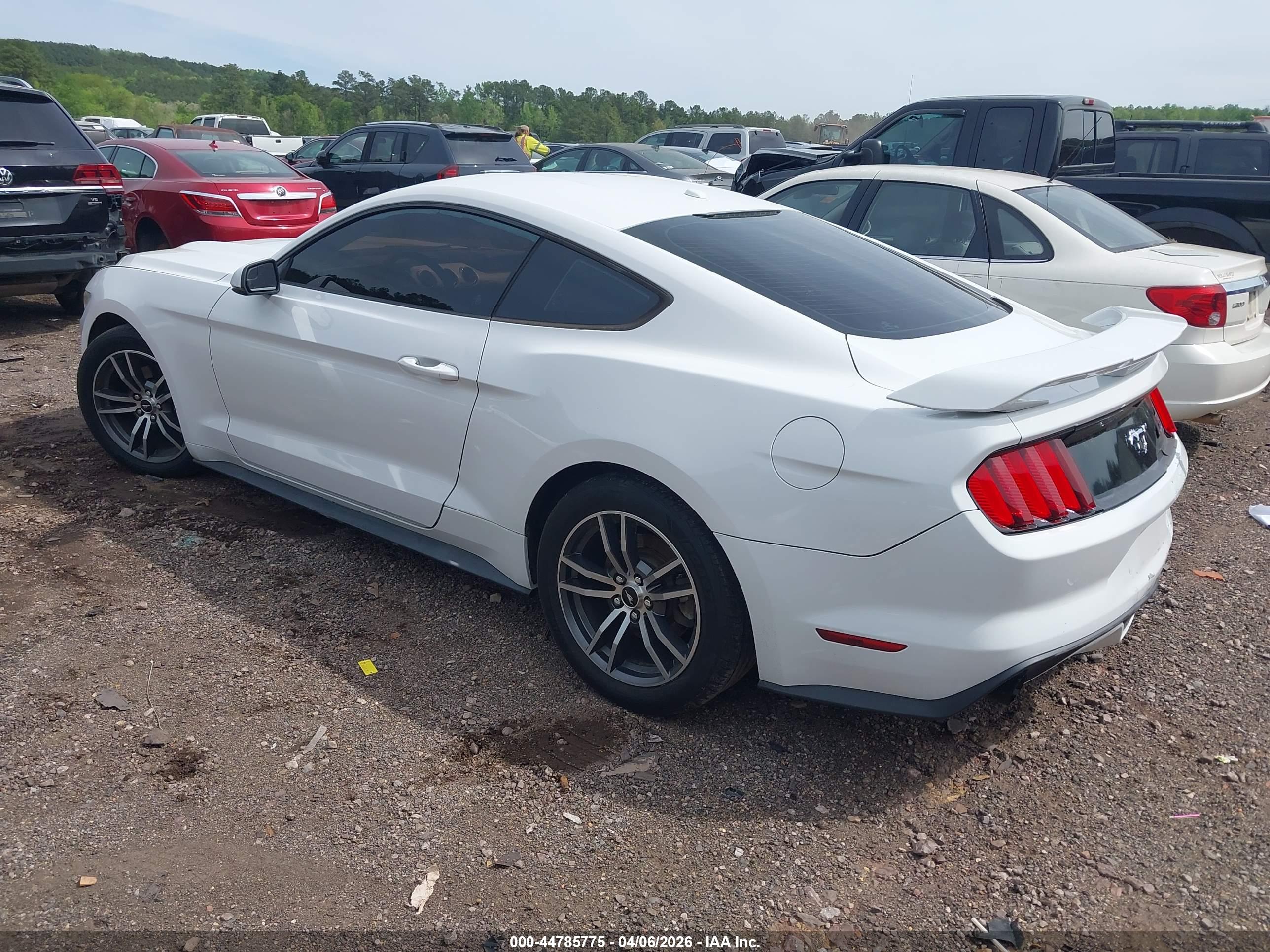 FORD MUSTANG image 3